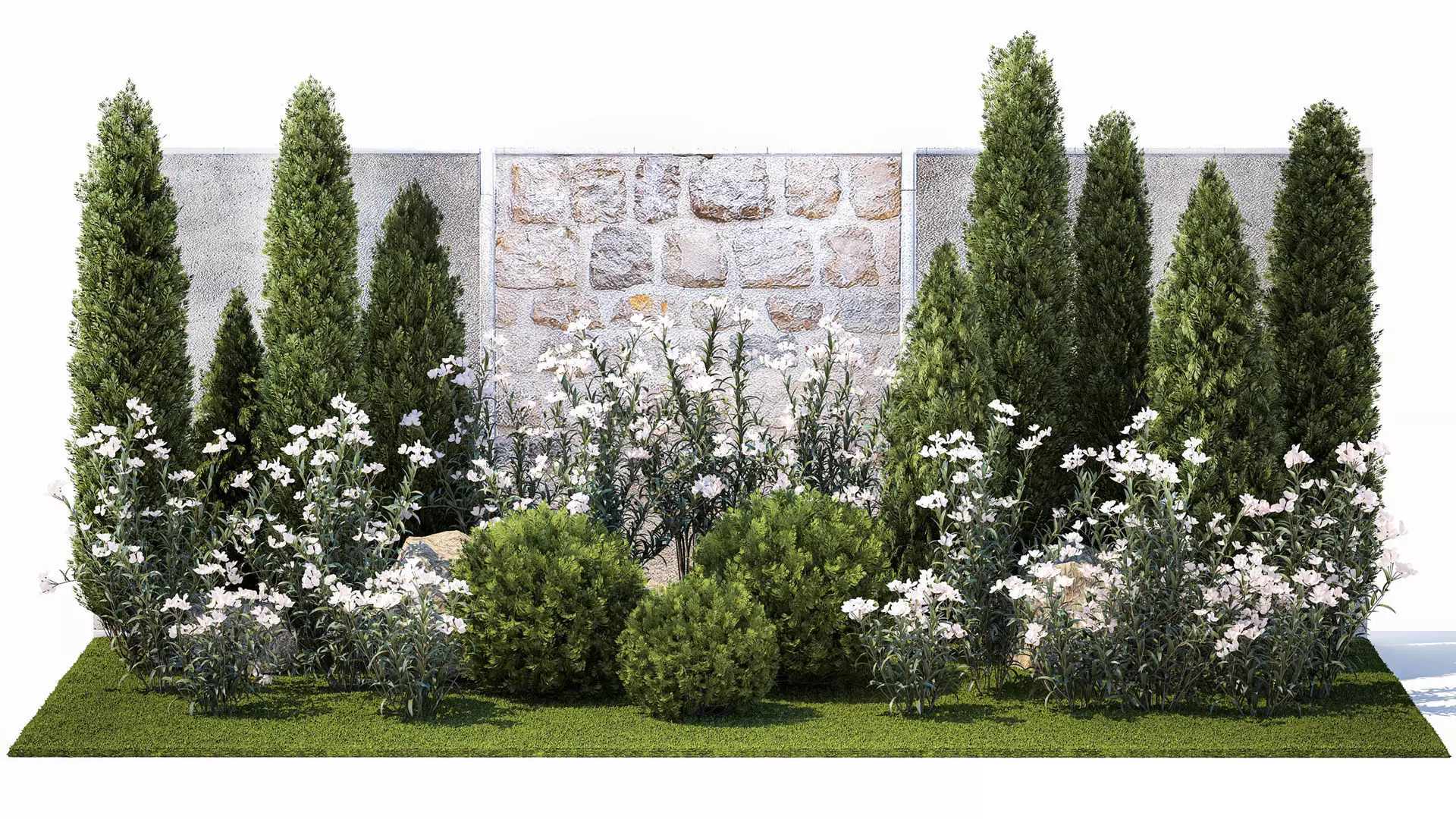 Garden with thuja cypress pine and Nerium oleander plant 1382 3D model_0