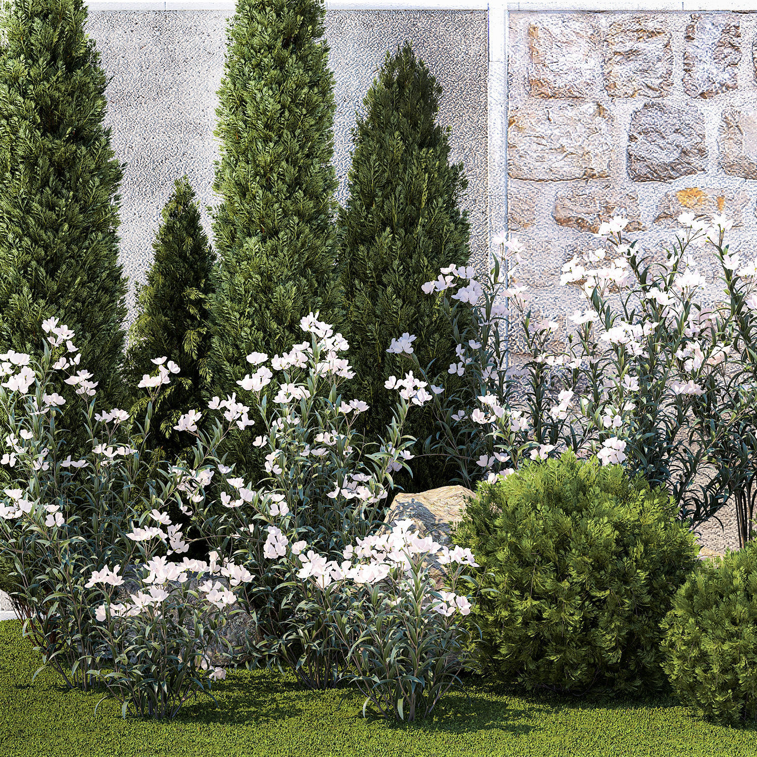 Garden with thuja cypress pine and Nerium oleander plant 1382 3D model_11