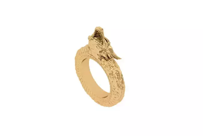 Dragon Ring 3D print model