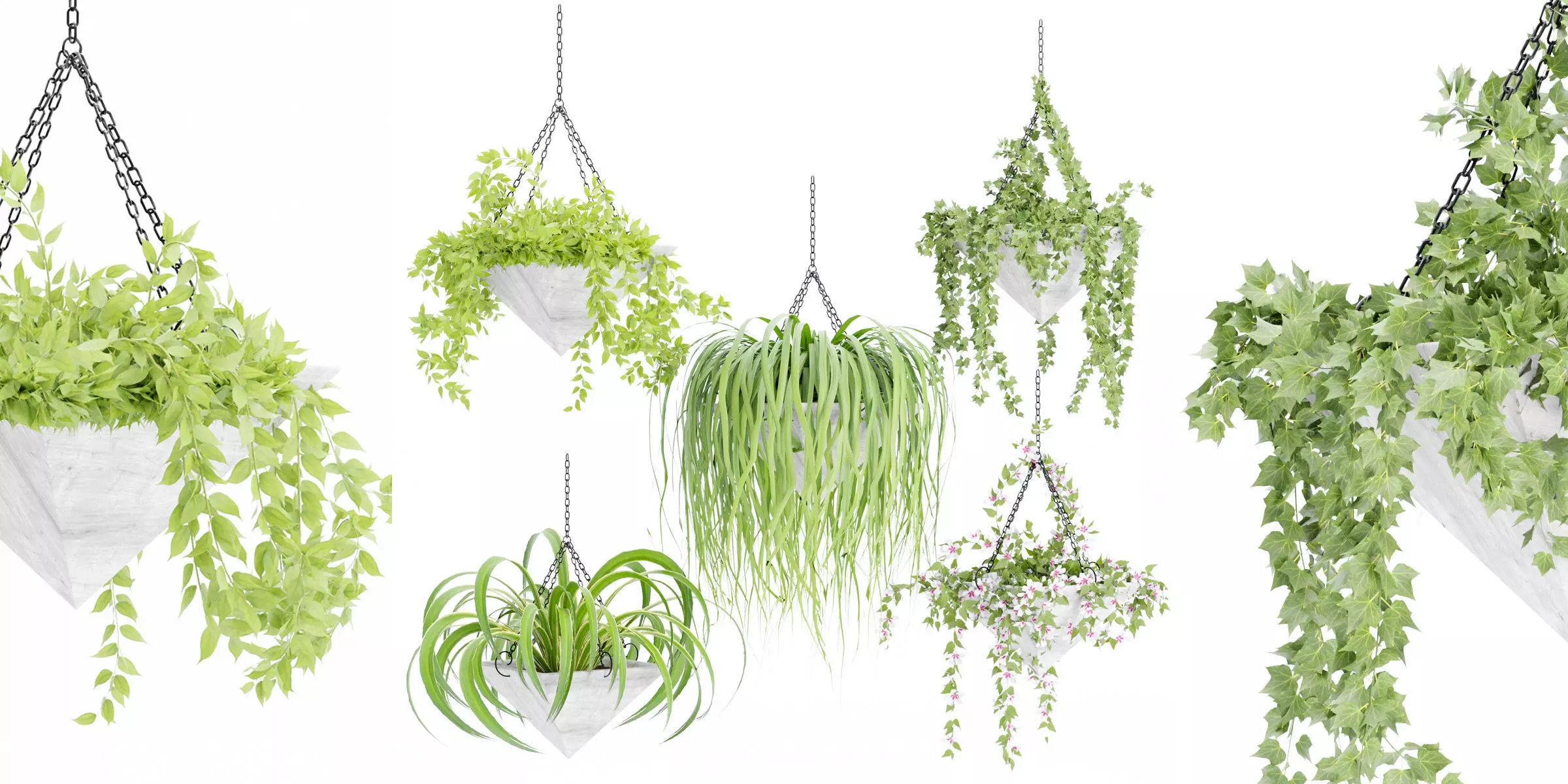 Hanging plant indoor collection vol 46-Blender 3D model