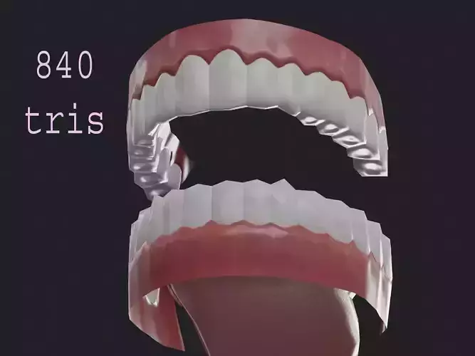 Teeth Mouth  Low-poly 3D model