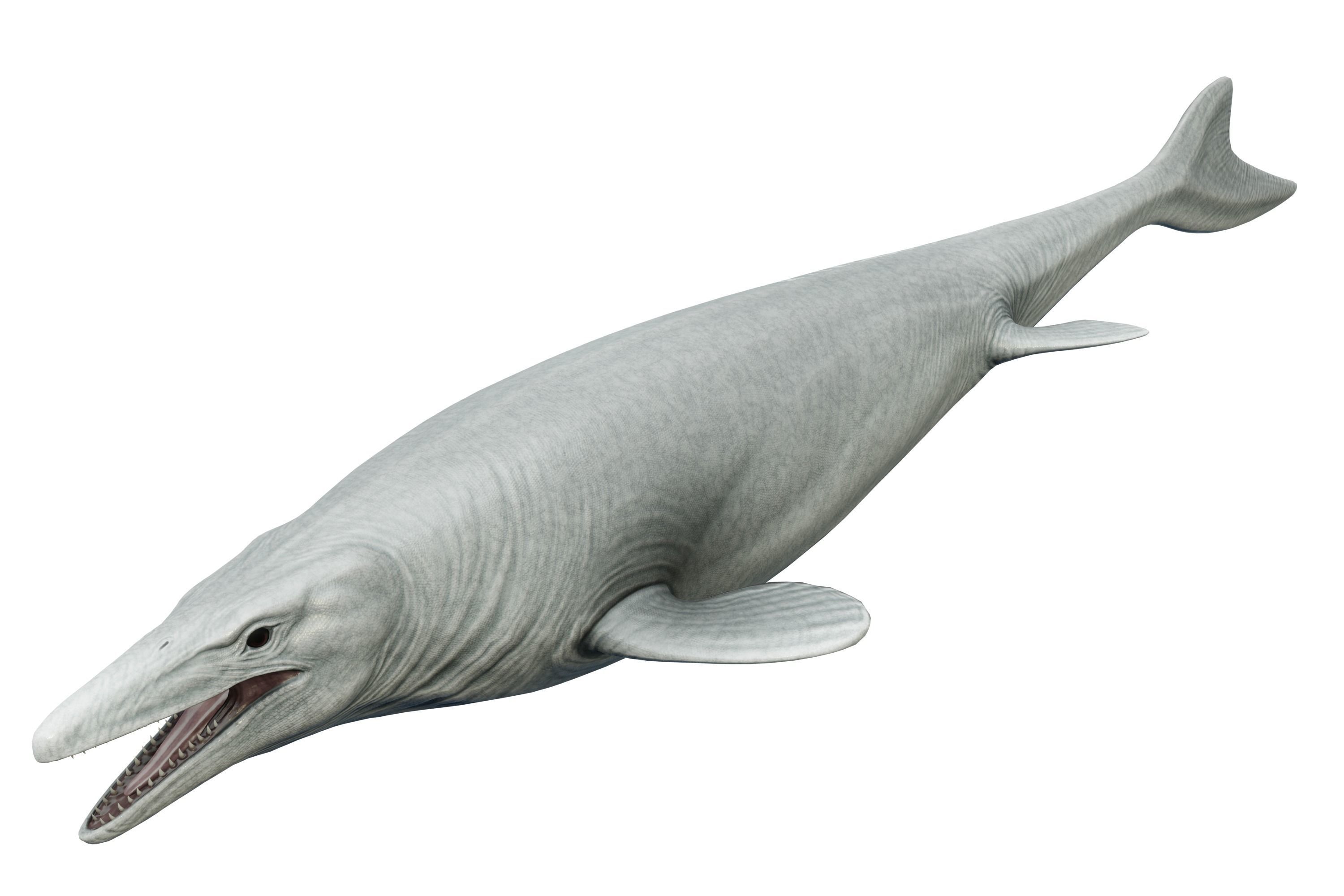 Mosasaurus Asset Pack Low-poly 3D model_11