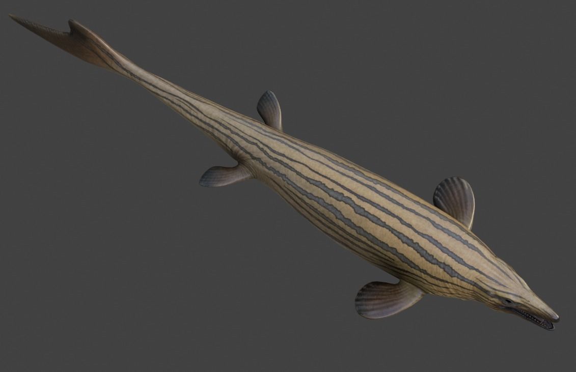 Mosasaurus Asset Pack Low-poly 3D model_17