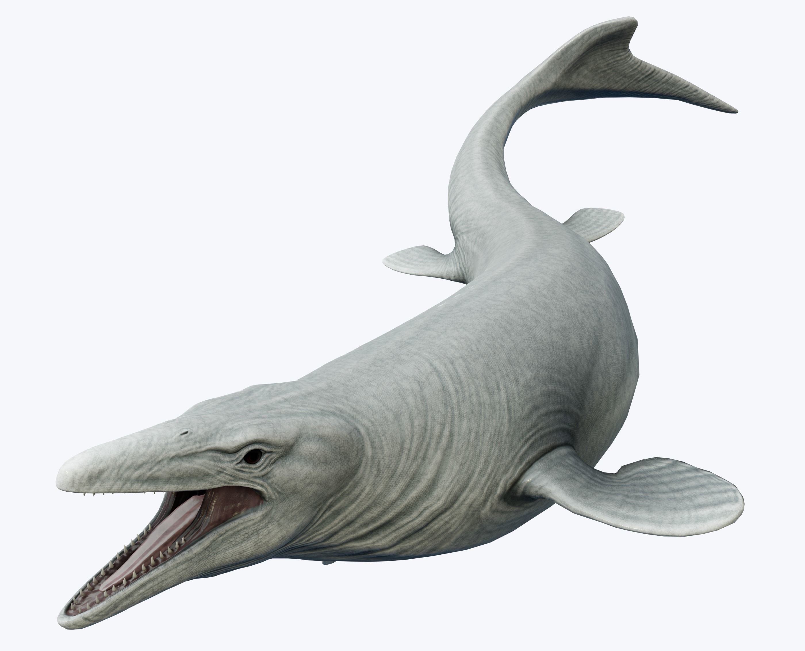 Mosasaurus Asset Pack Low-poly 3D model_5