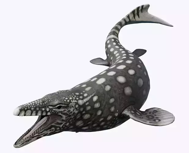 Mosasaurus Asset Pack Low-poly 3D model