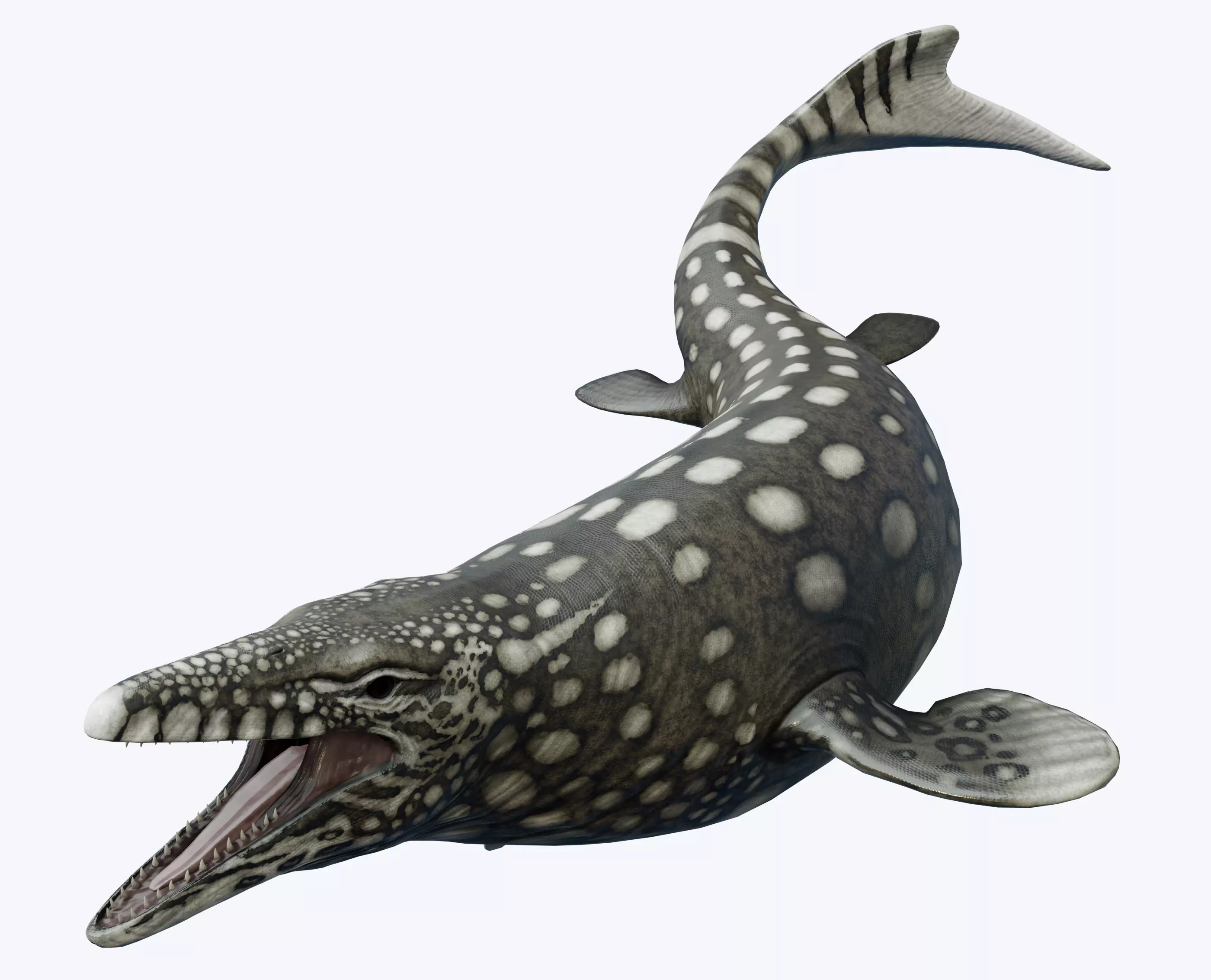 Mosasaurus Asset Pack Low-poly 3D model_0