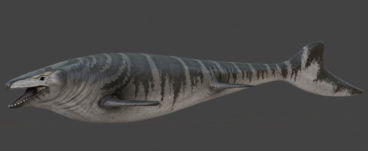 Mosasaurus Asset Pack Low-poly 3D model_14