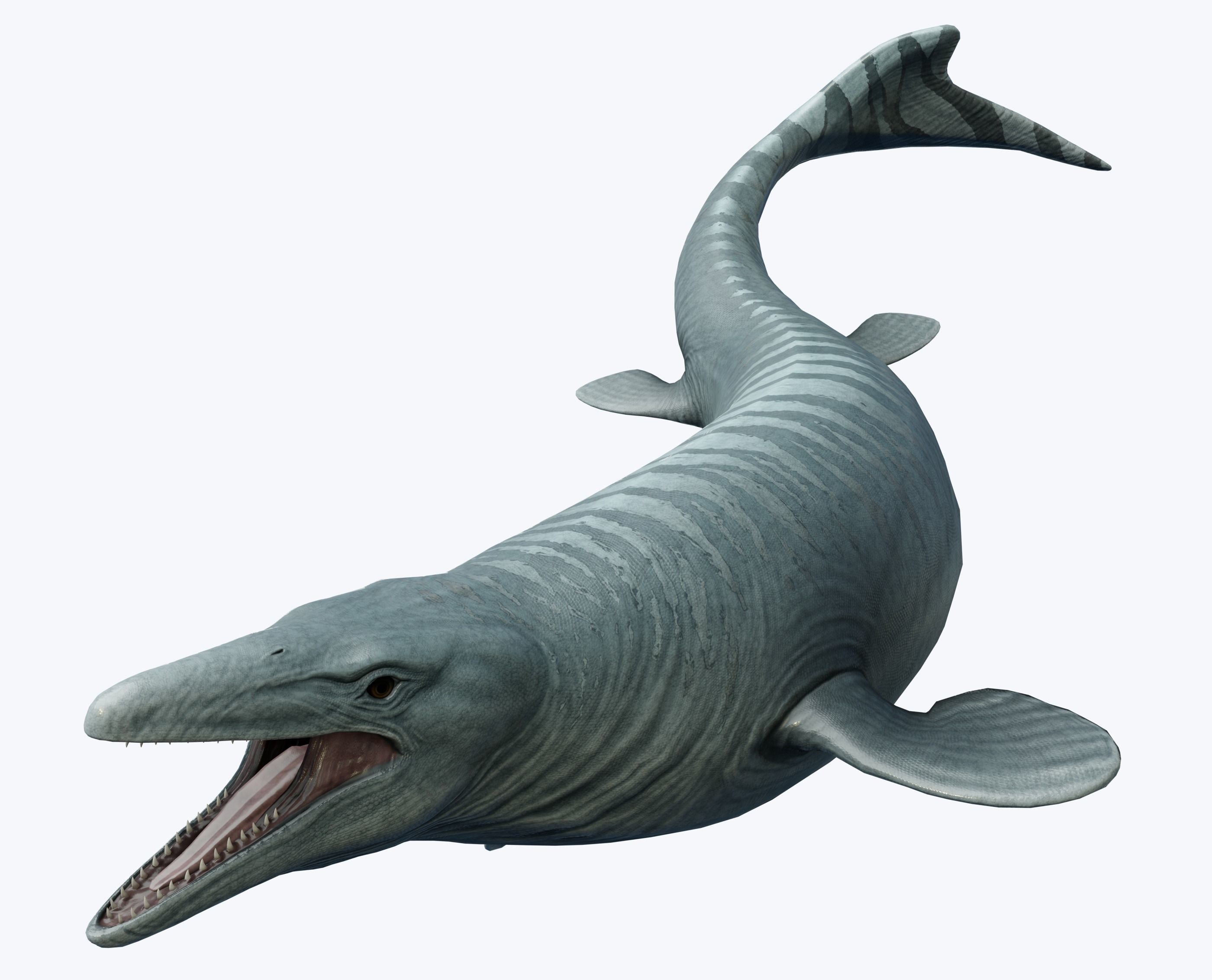 Mosasaurus Asset Pack Low-poly 3D model_6