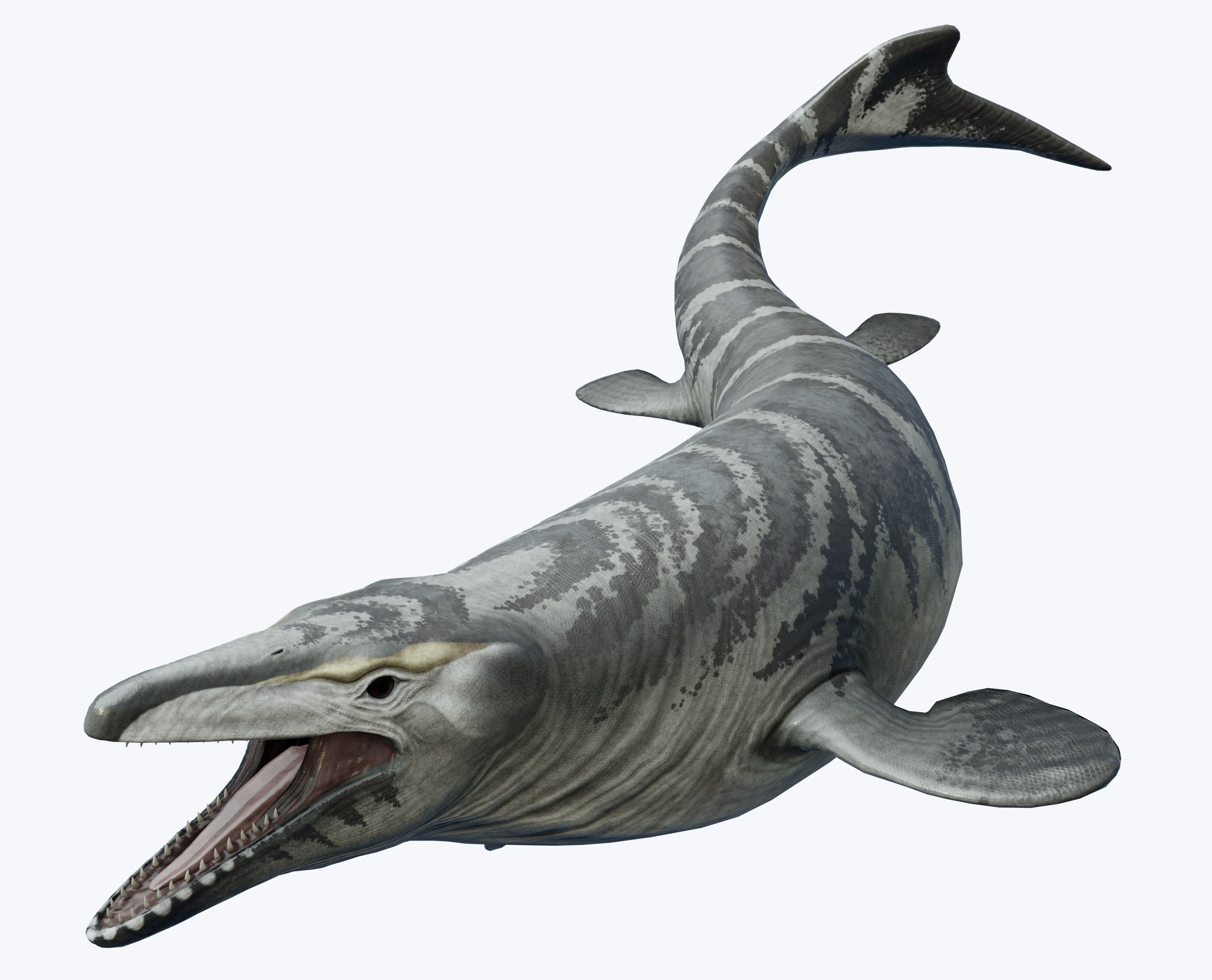 Mosasaurus Asset Pack Low-poly 3D model_2