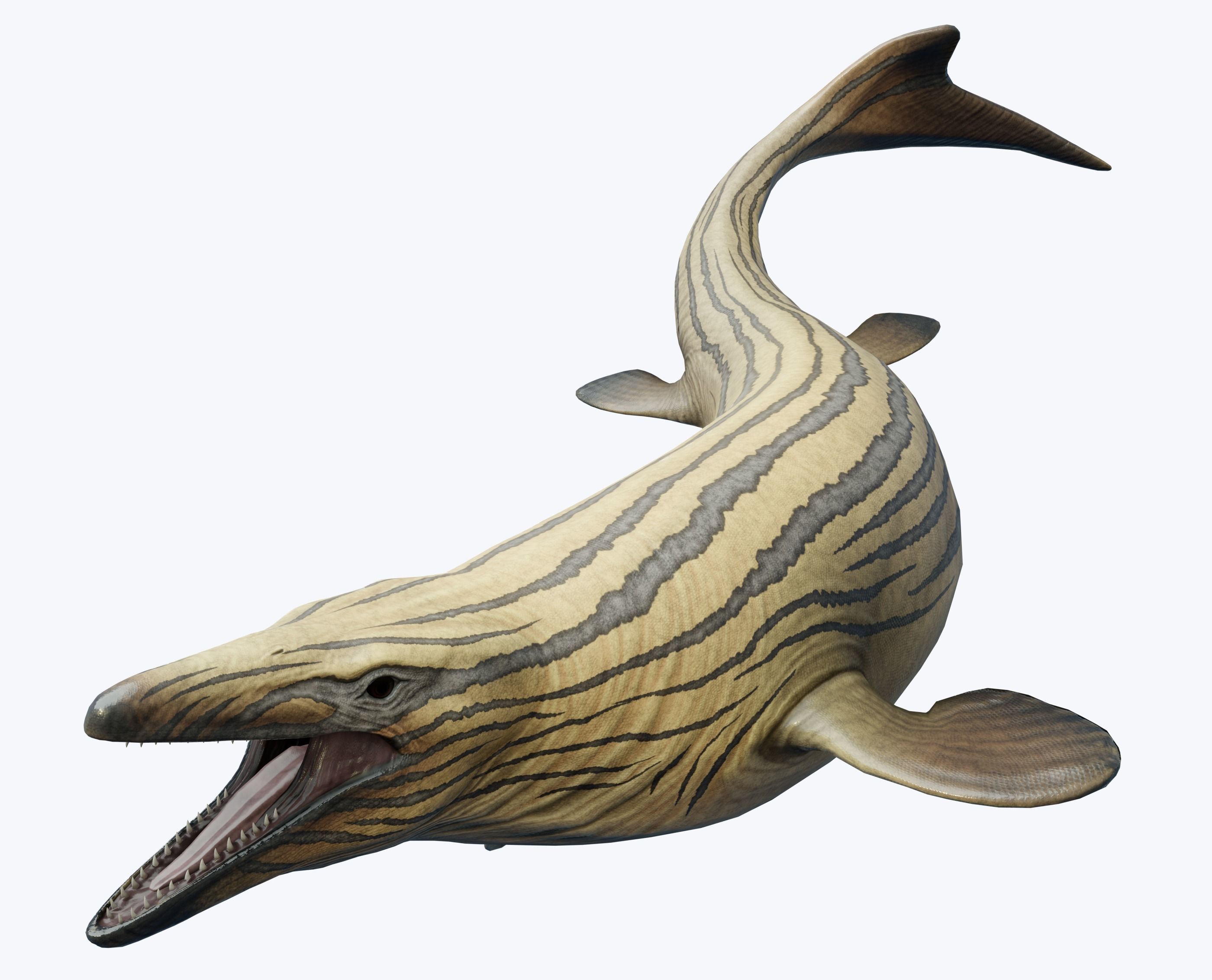 Mosasaurus Asset Pack Low-poly 3D model_3