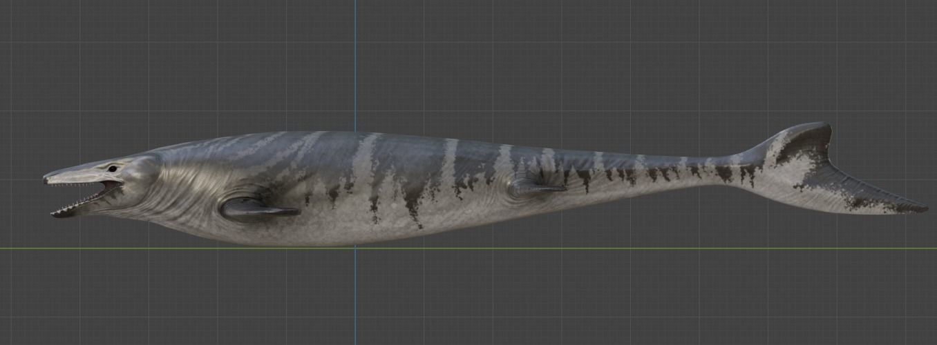 Mosasaurus Asset Pack Low-poly 3D model_15