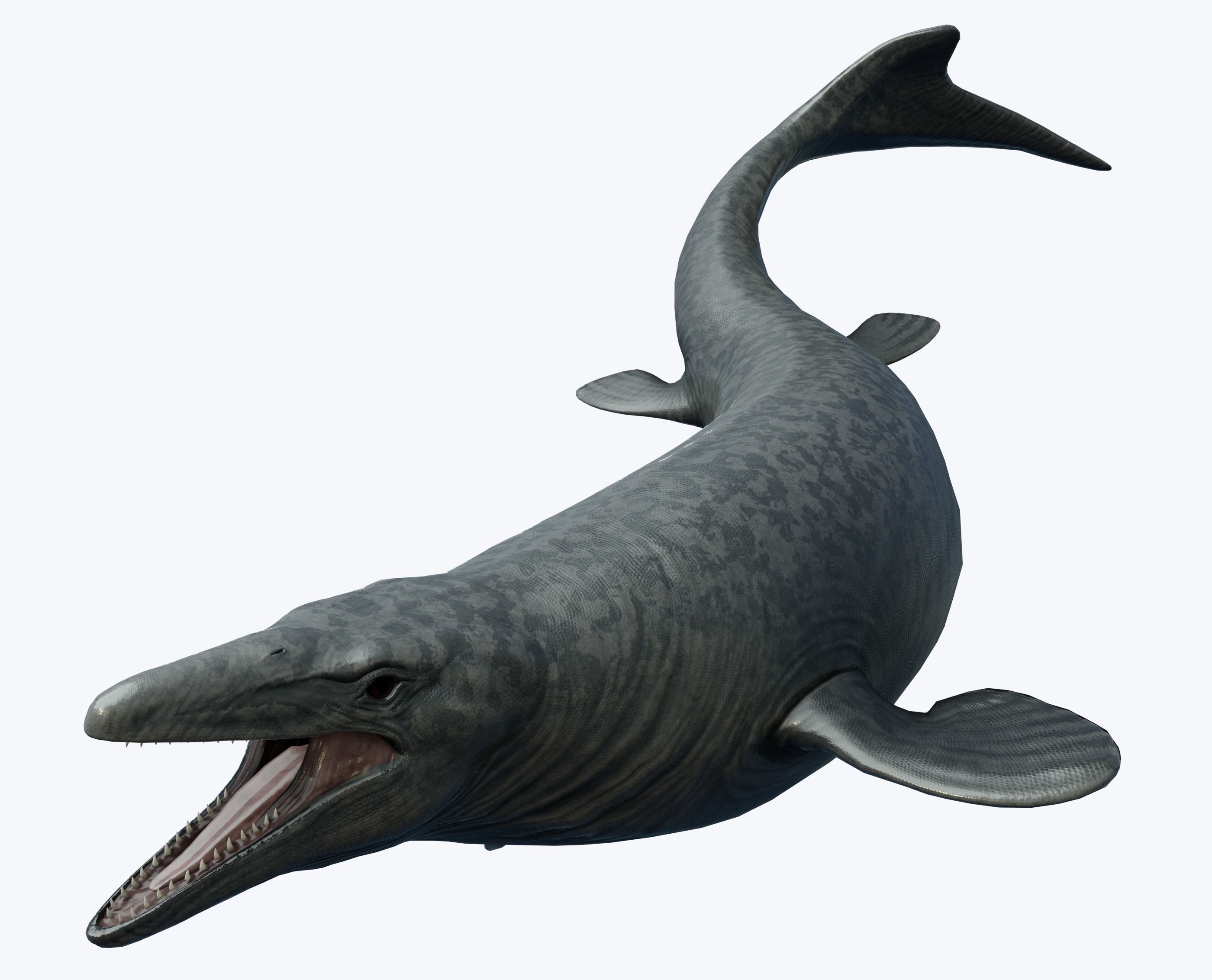 Mosasaurus Asset Pack Low-poly 3D model_4