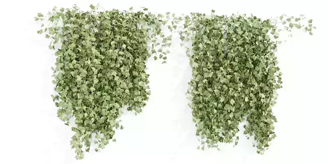 Hanging ivy collection vol 49-Blender 3D model
