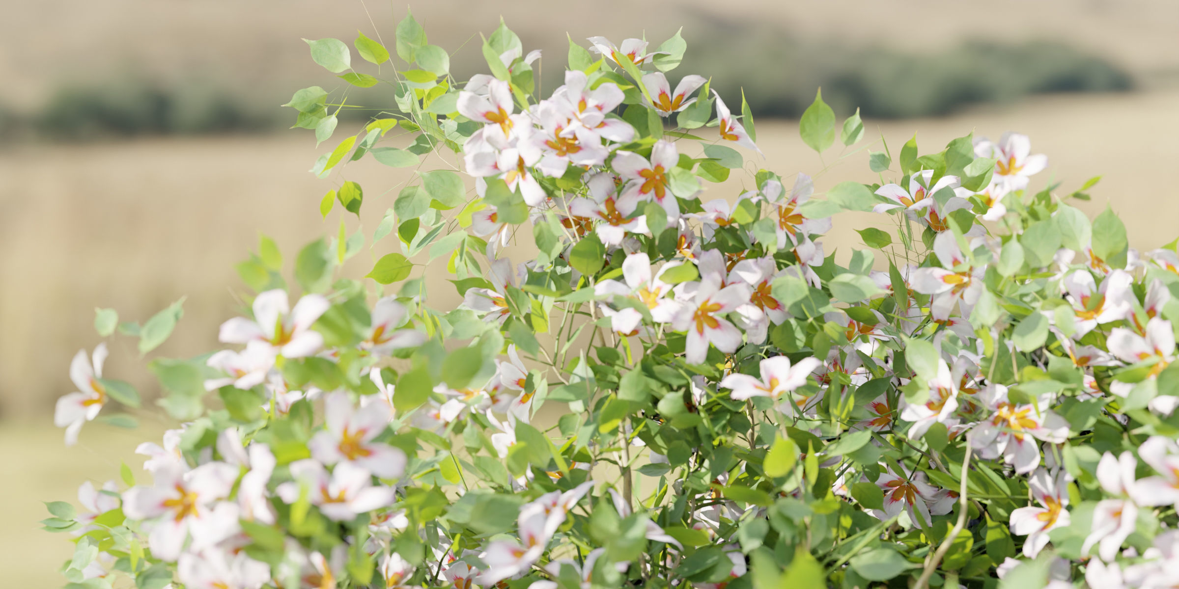 flowering bushes collection vol 50-Blender 3D model_4