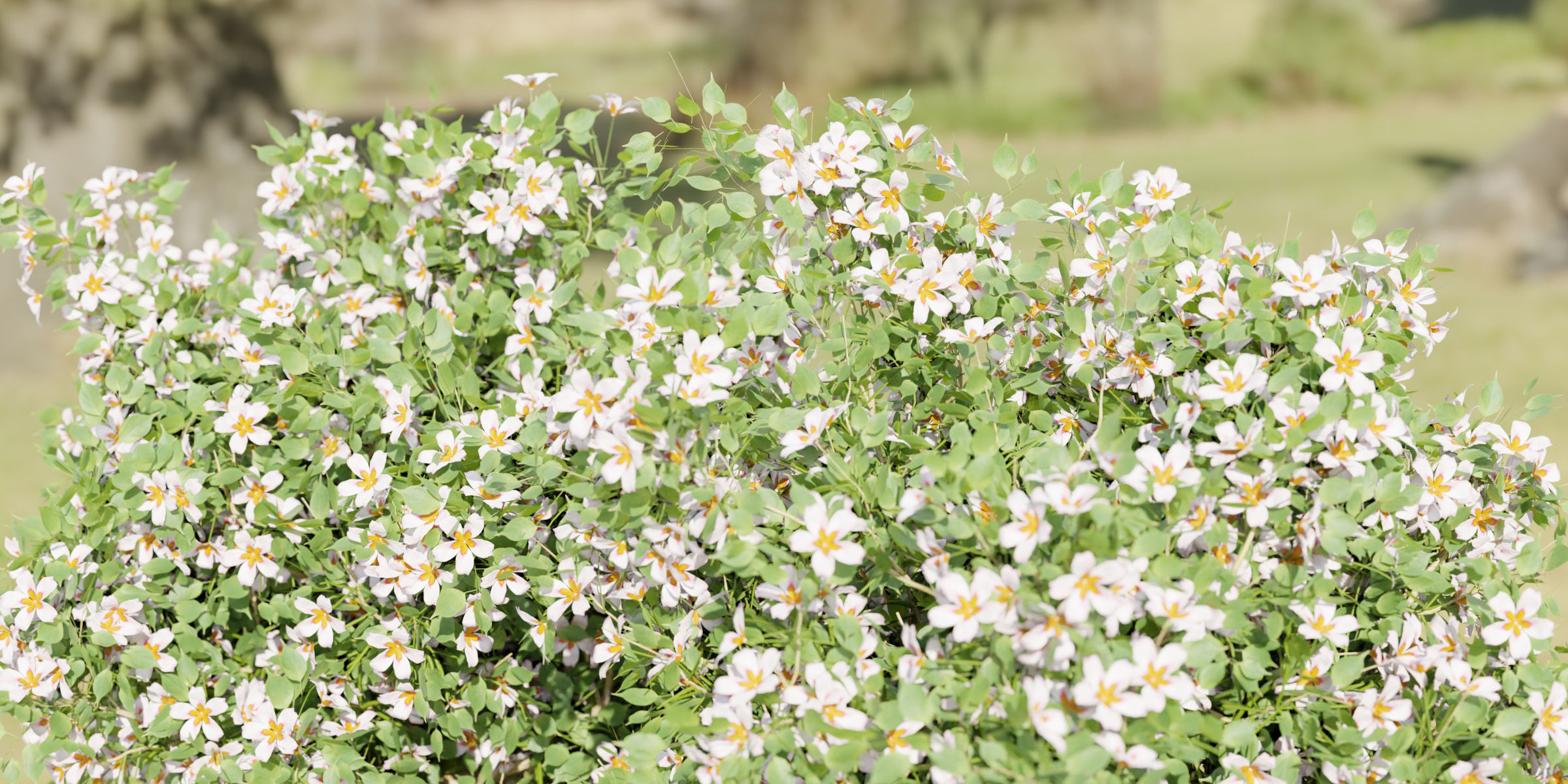 flowering bushes collection vol 50-Blender 3D model_3