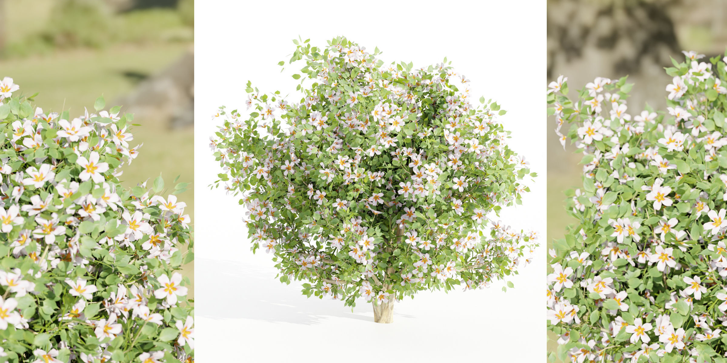 flowering bushes collection vol 50-Blender 3D model_2