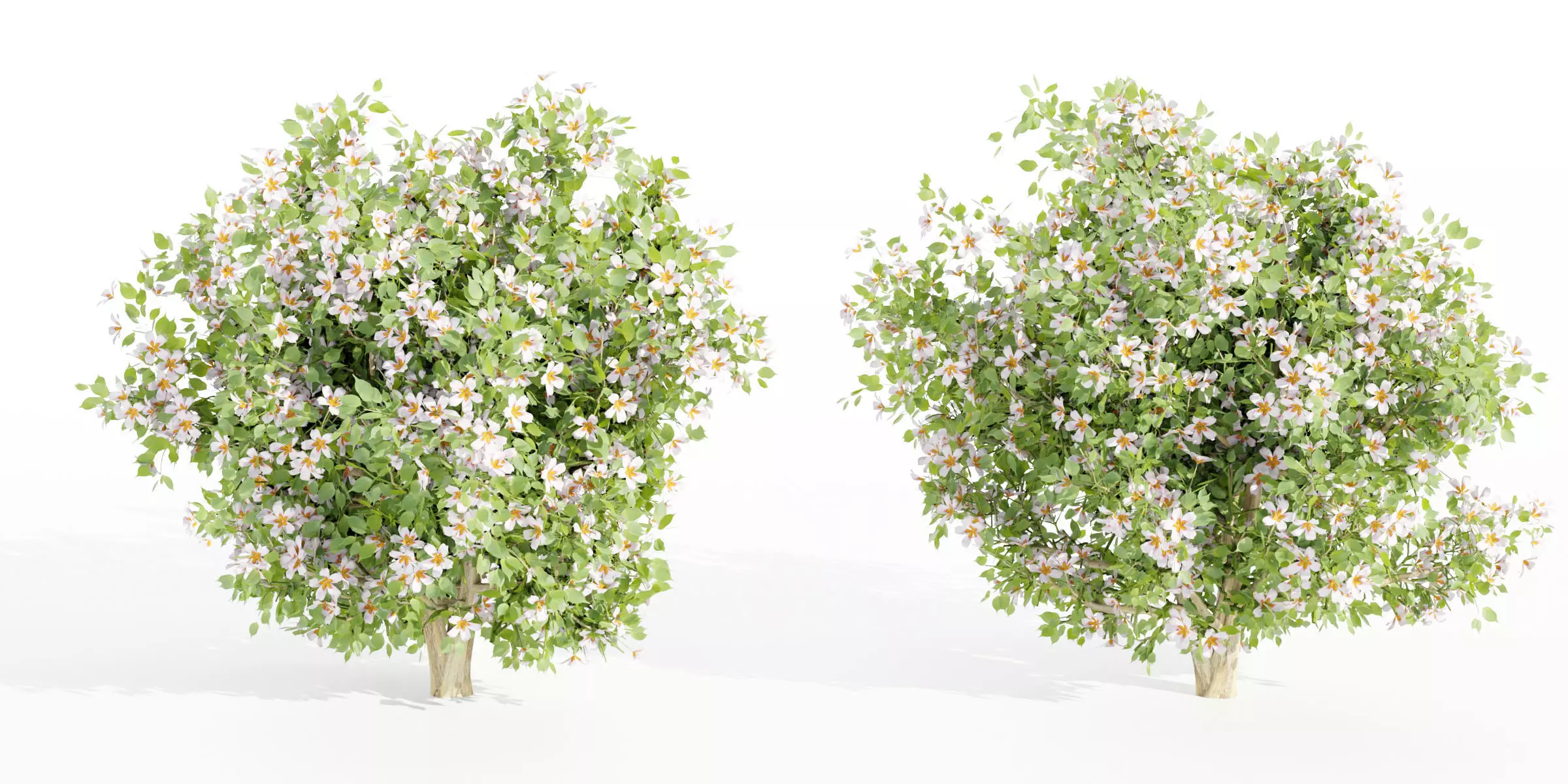 flowering bushes collection vol 50-Blender 3D model_0