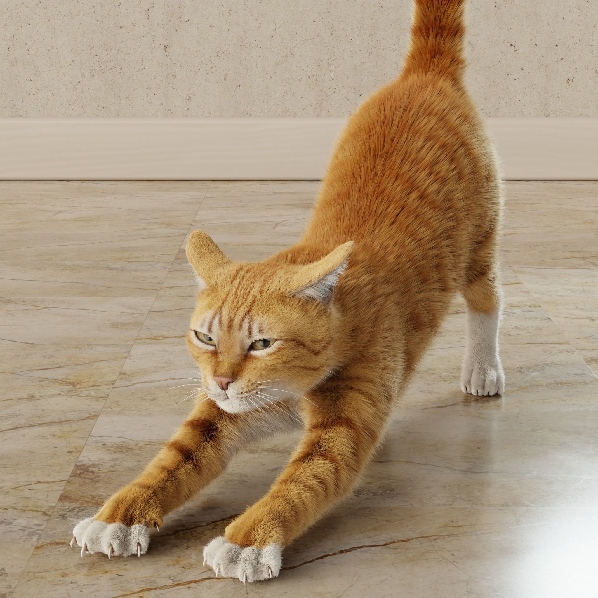 Cat Orange Tabby Rigged Animated 3D model_18