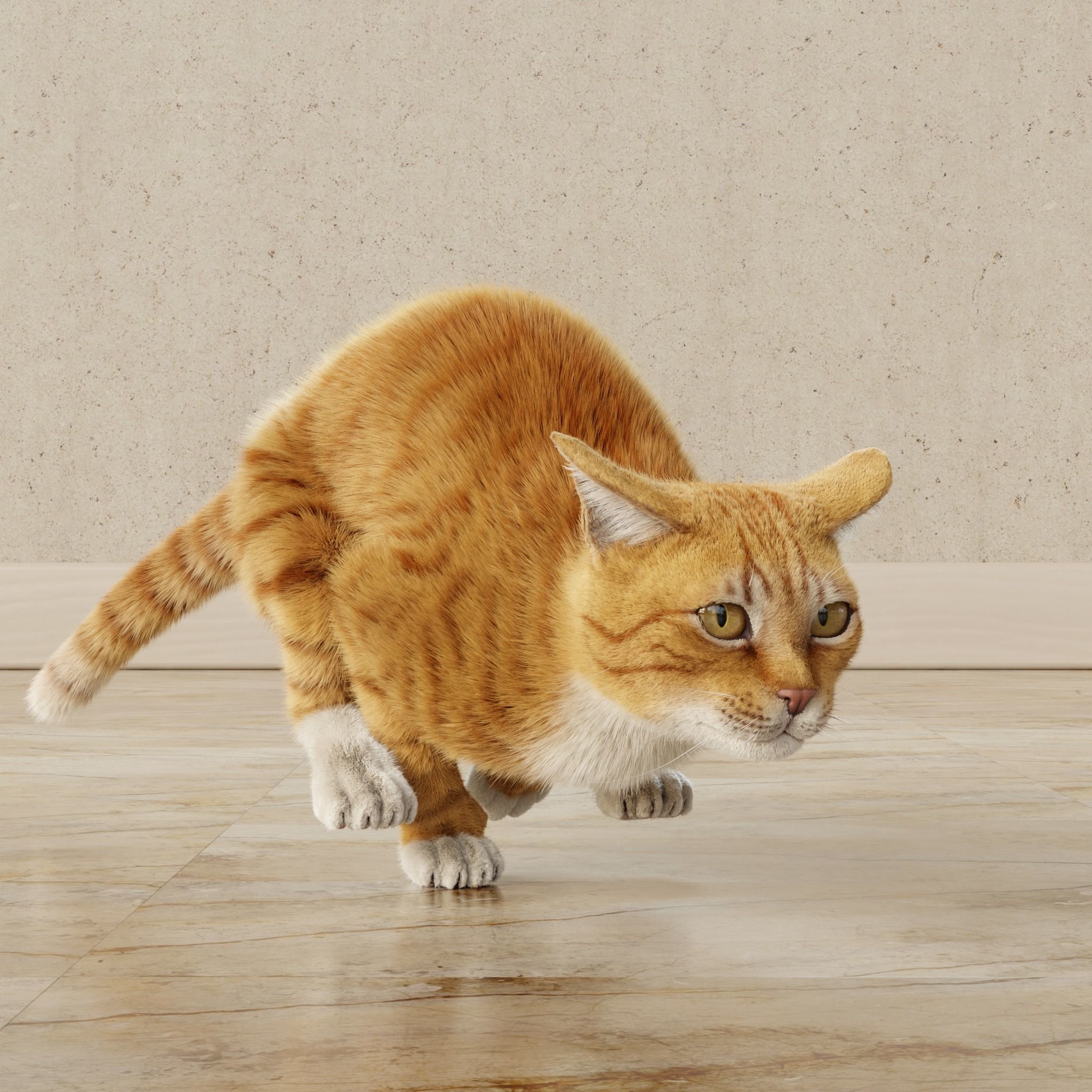 Cat Orange Tabby Rigged Animated 3D model_15