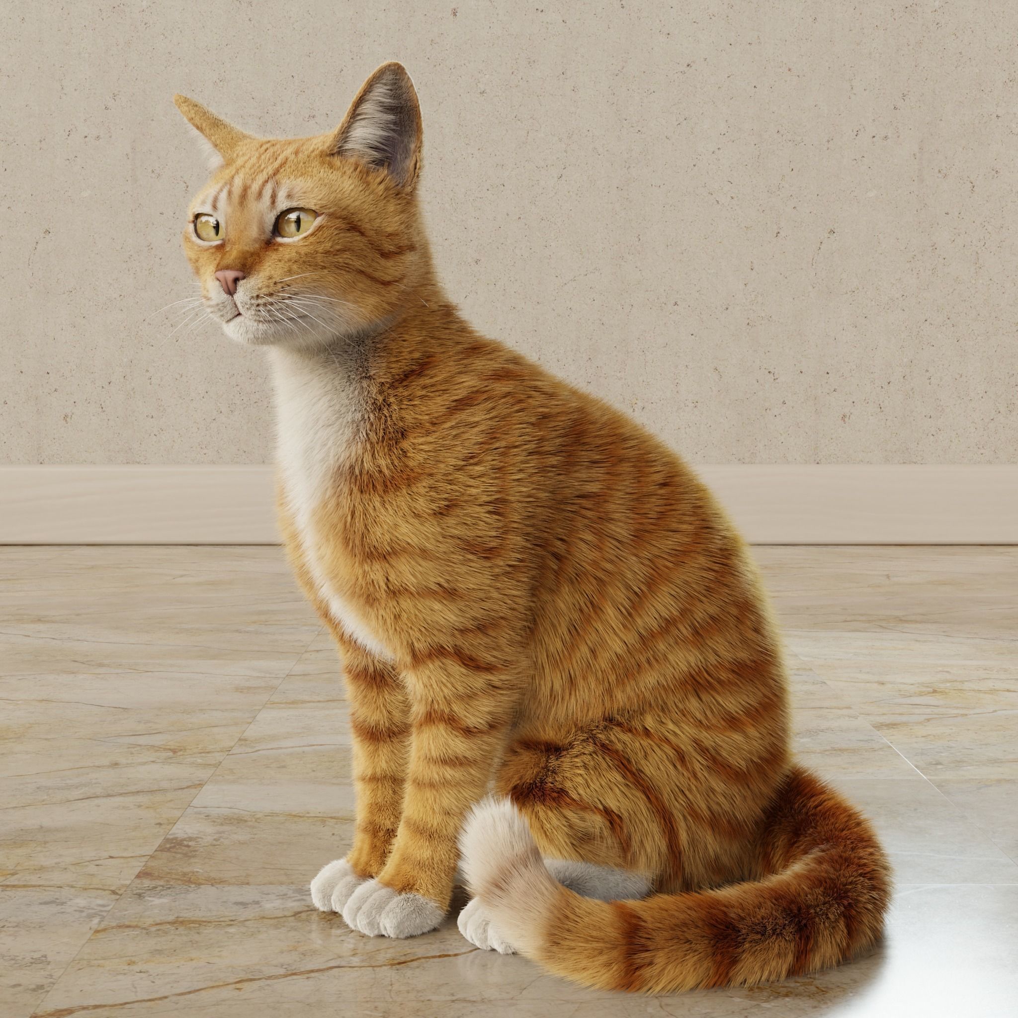 Cat Orange Tabby Rigged Animated 3D model_11