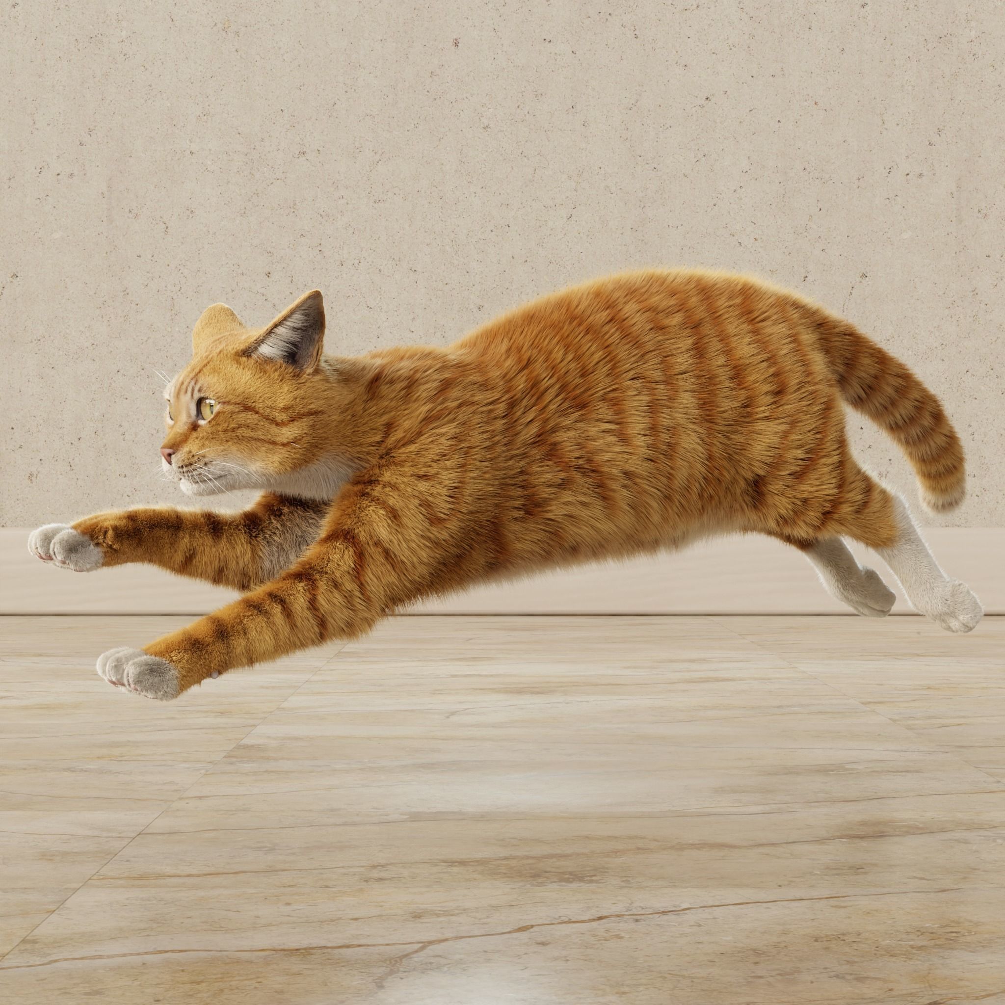 Cat Orange Tabby Rigged Animated 3D model_16