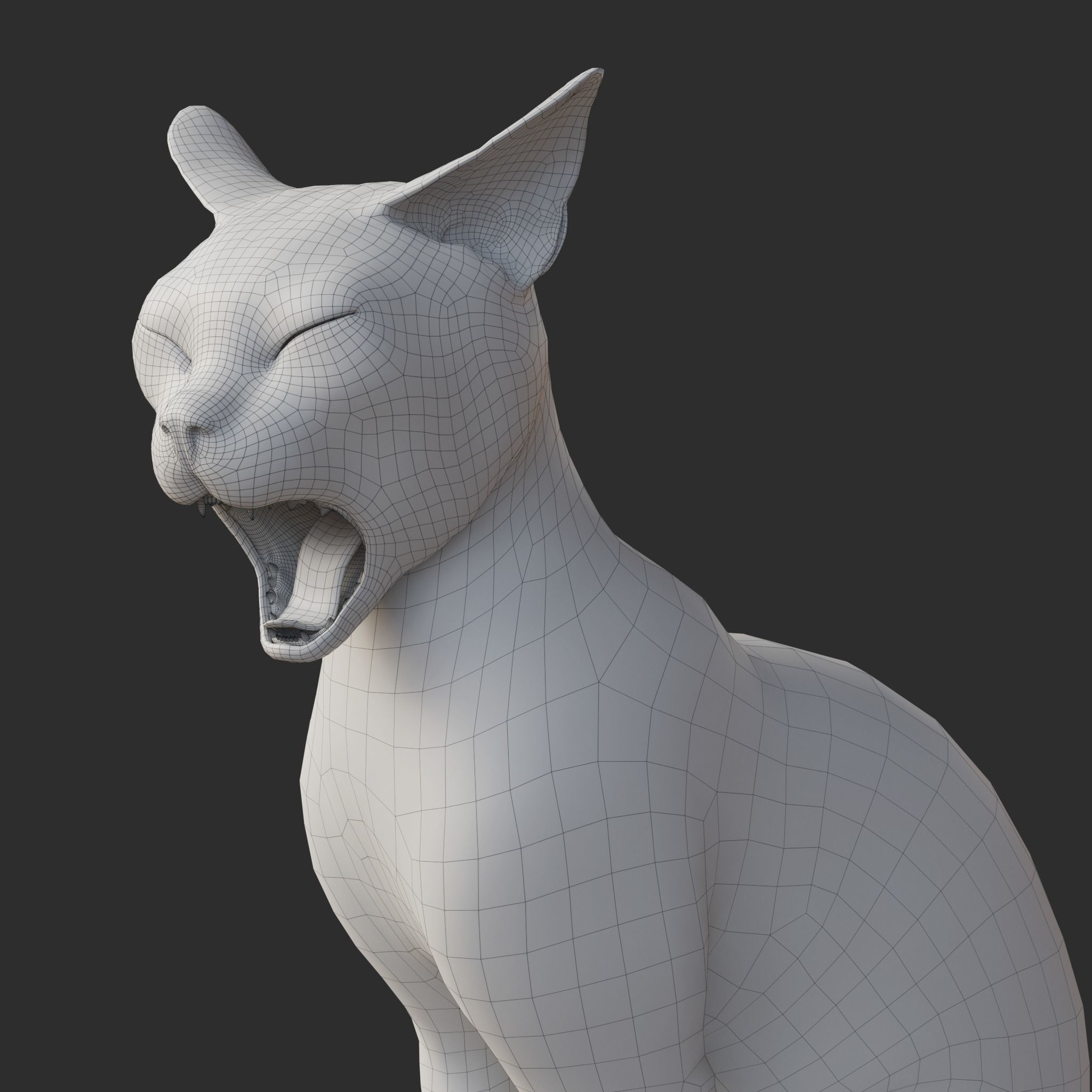 Cat Orange Tabby Rigged Animated 3D model_22