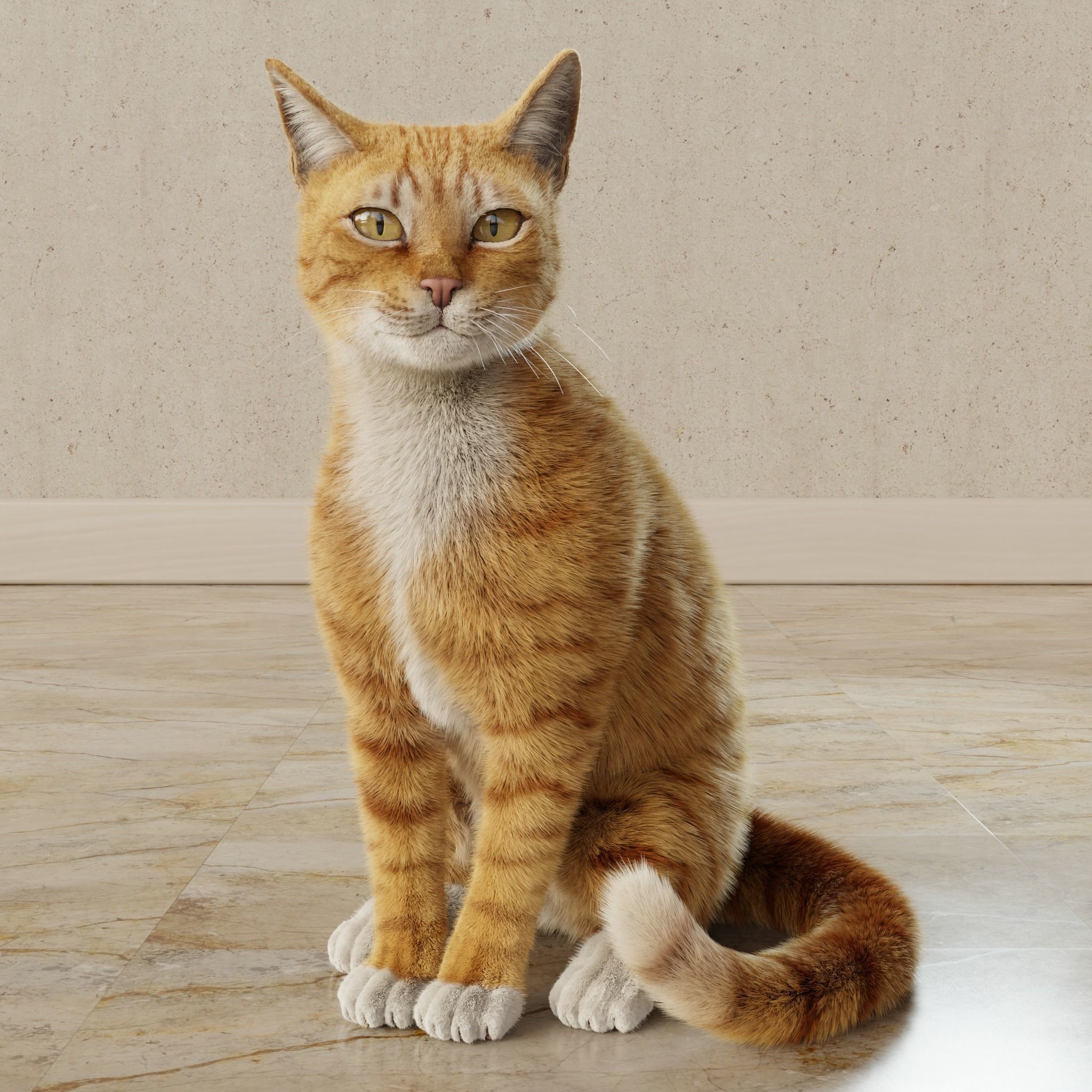 Cat Orange Tabby Rigged Animated 3D model_10