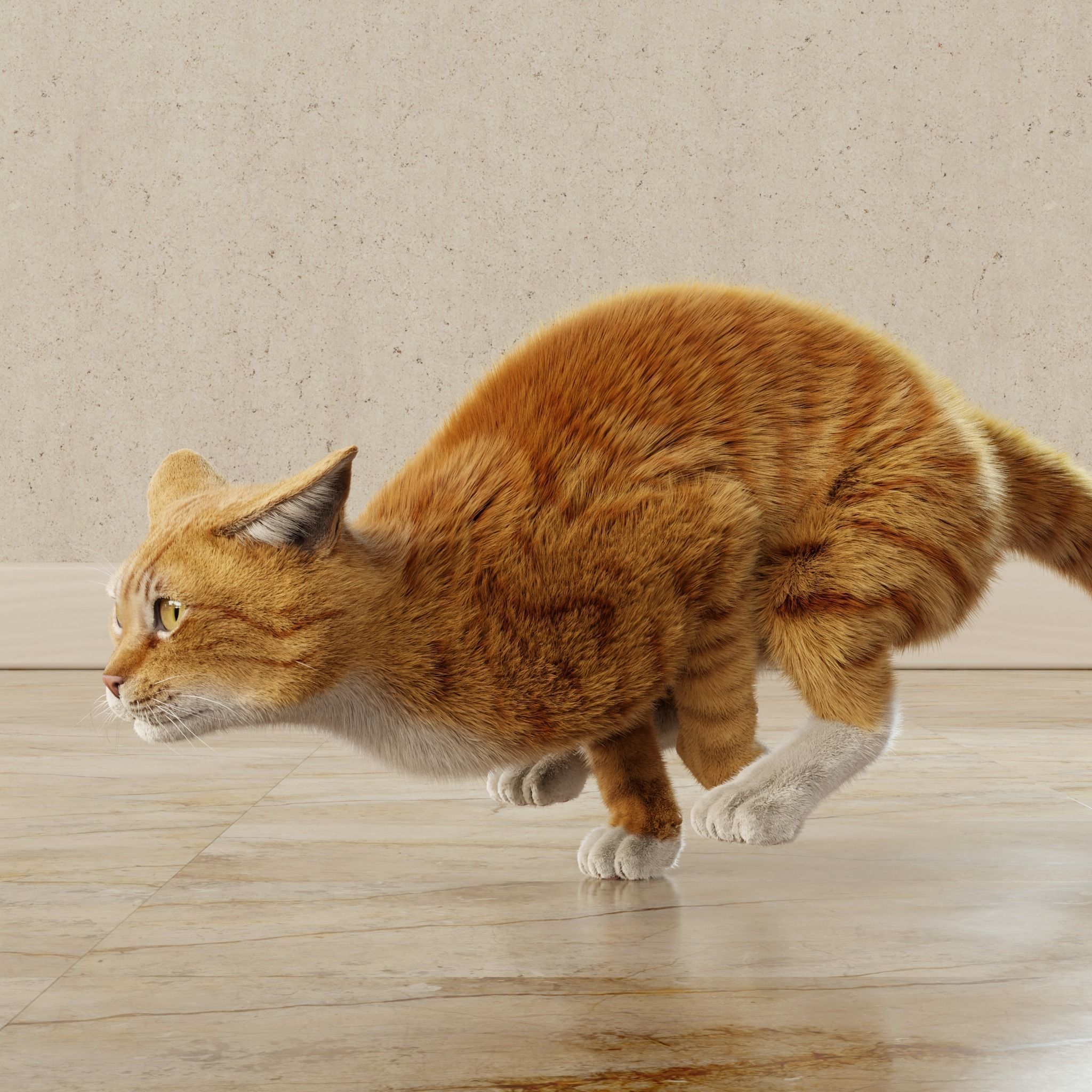 Cat Orange Tabby Rigged Animated 3D model_14