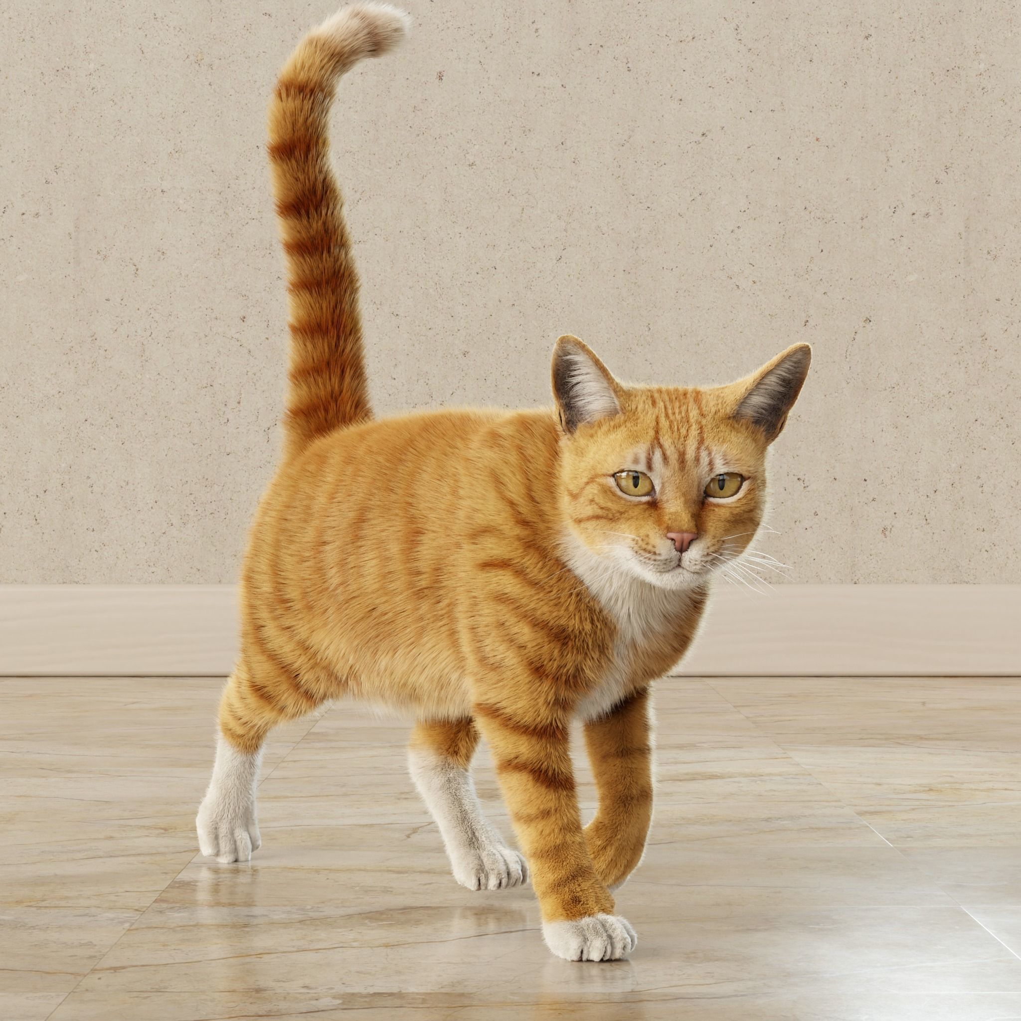 Cat Orange Tabby Rigged Animated 3D model_13