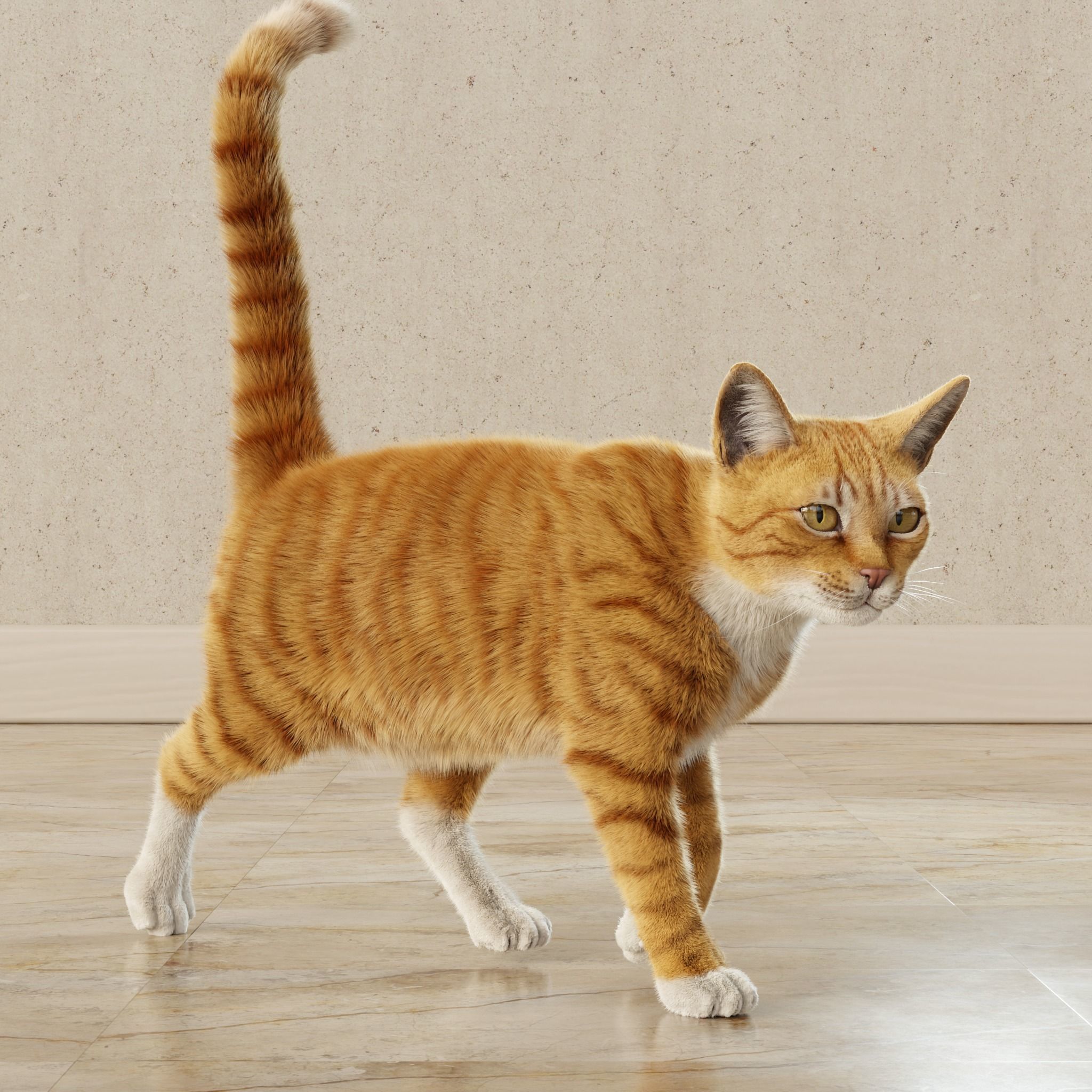 Cat Orange Tabby Rigged Animated 3D model_12