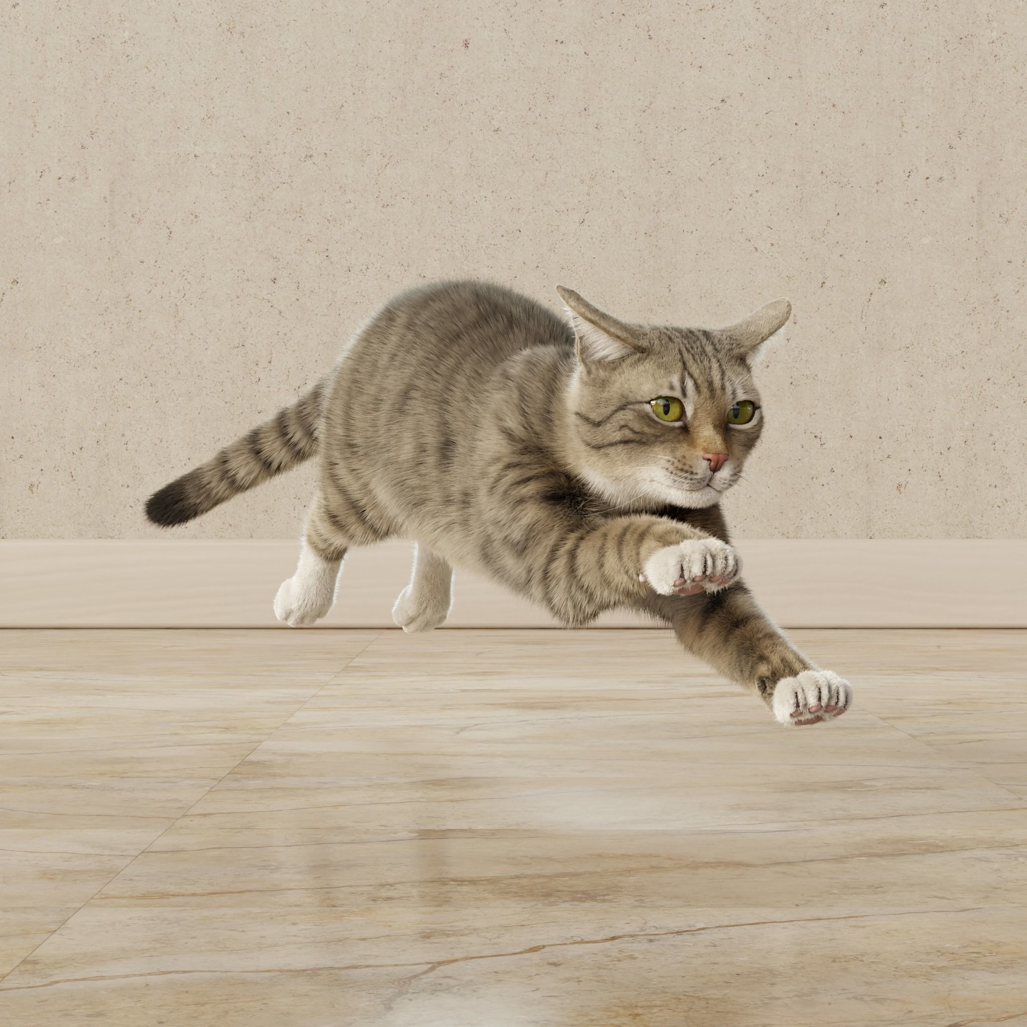 Cat Gray Tabby Rigged Animated 3D model_17
