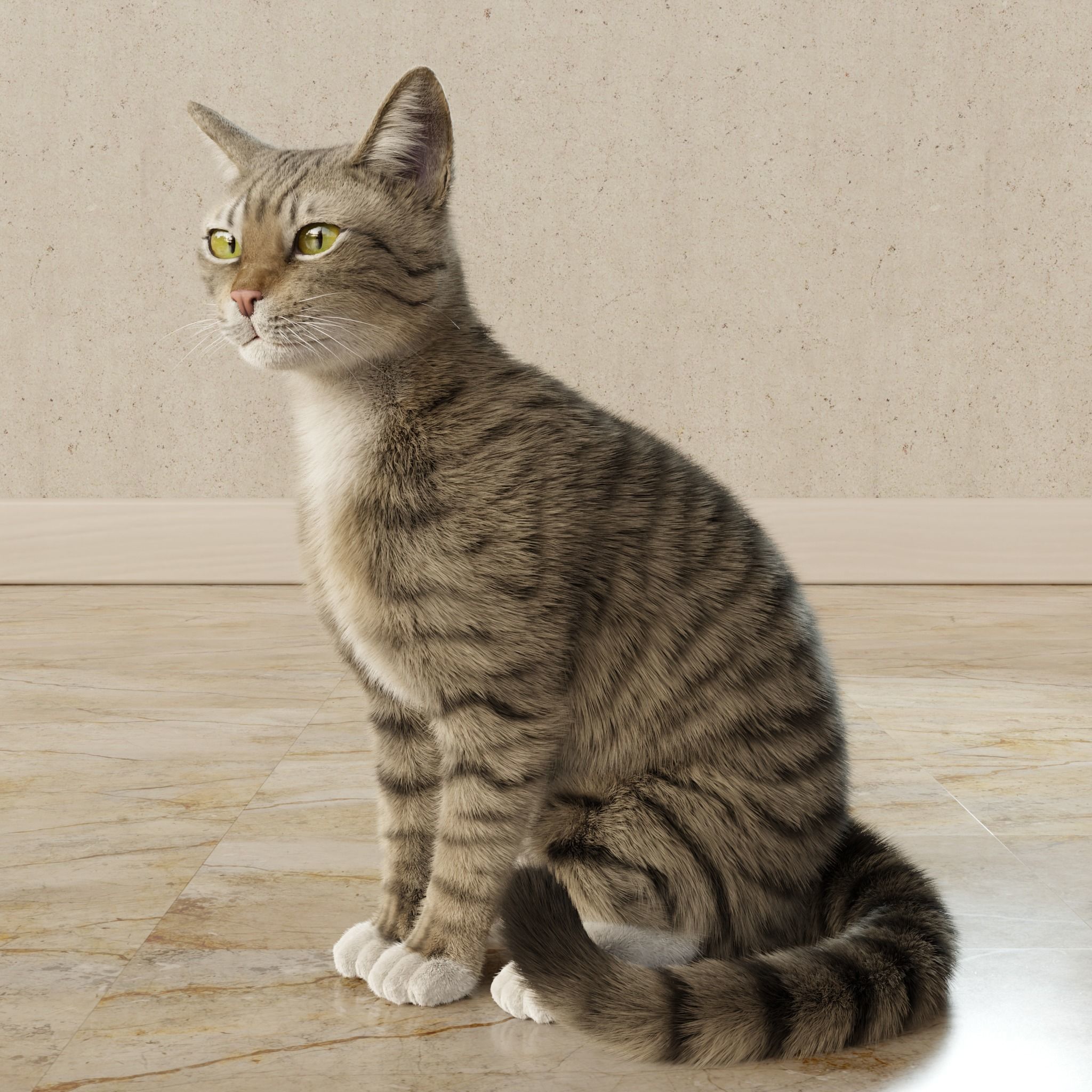 Cat Gray Tabby Rigged Animated 3D model_11
