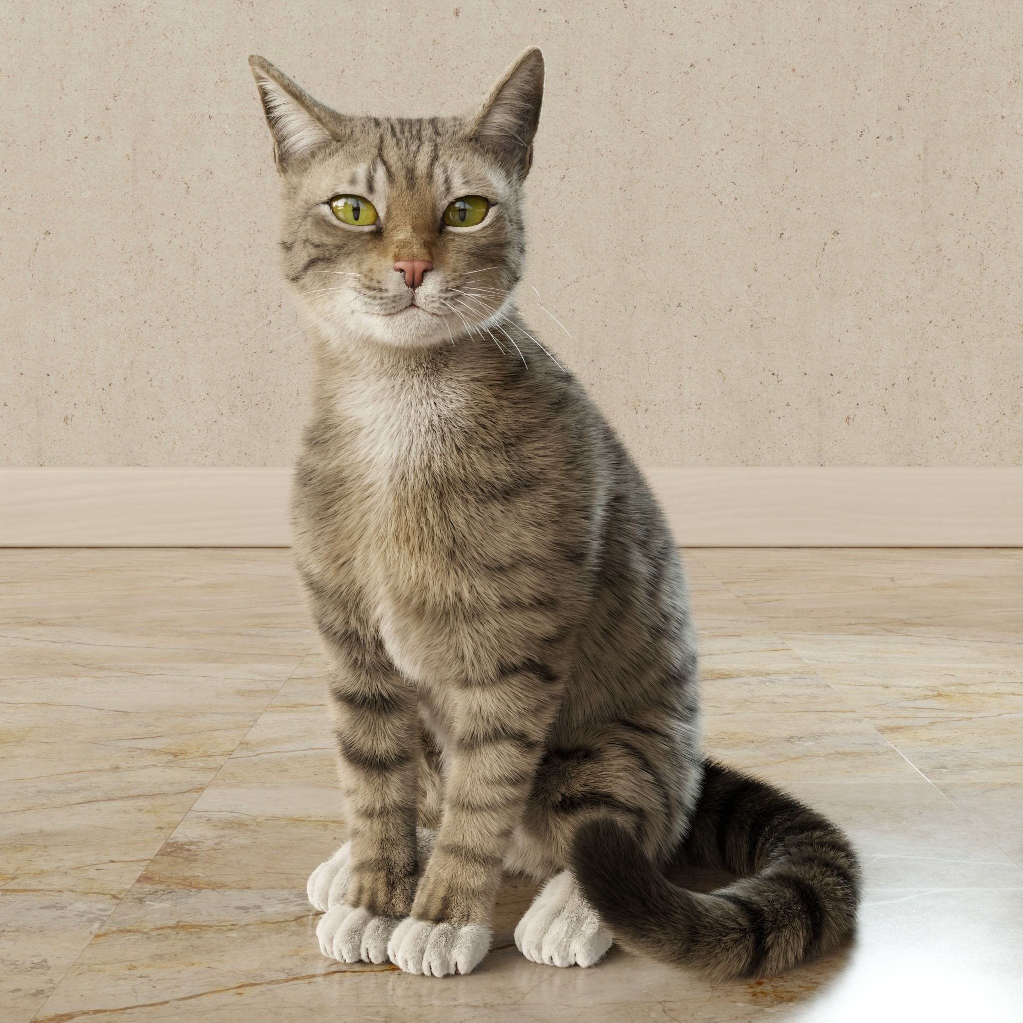Cat Gray Tabby Rigged Animated 3D model_10
