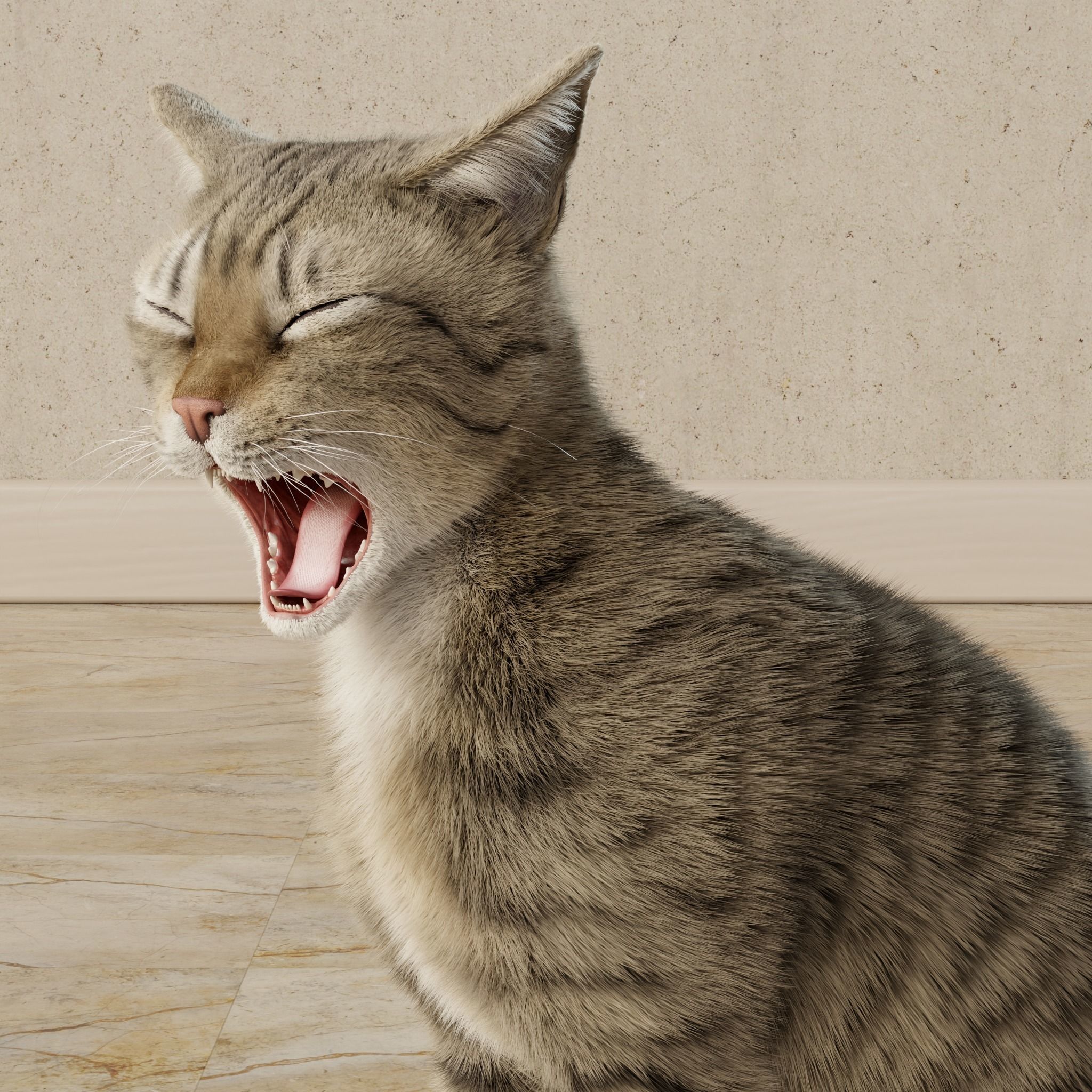 Cat Gray Tabby Rigged Animated 3D model_19