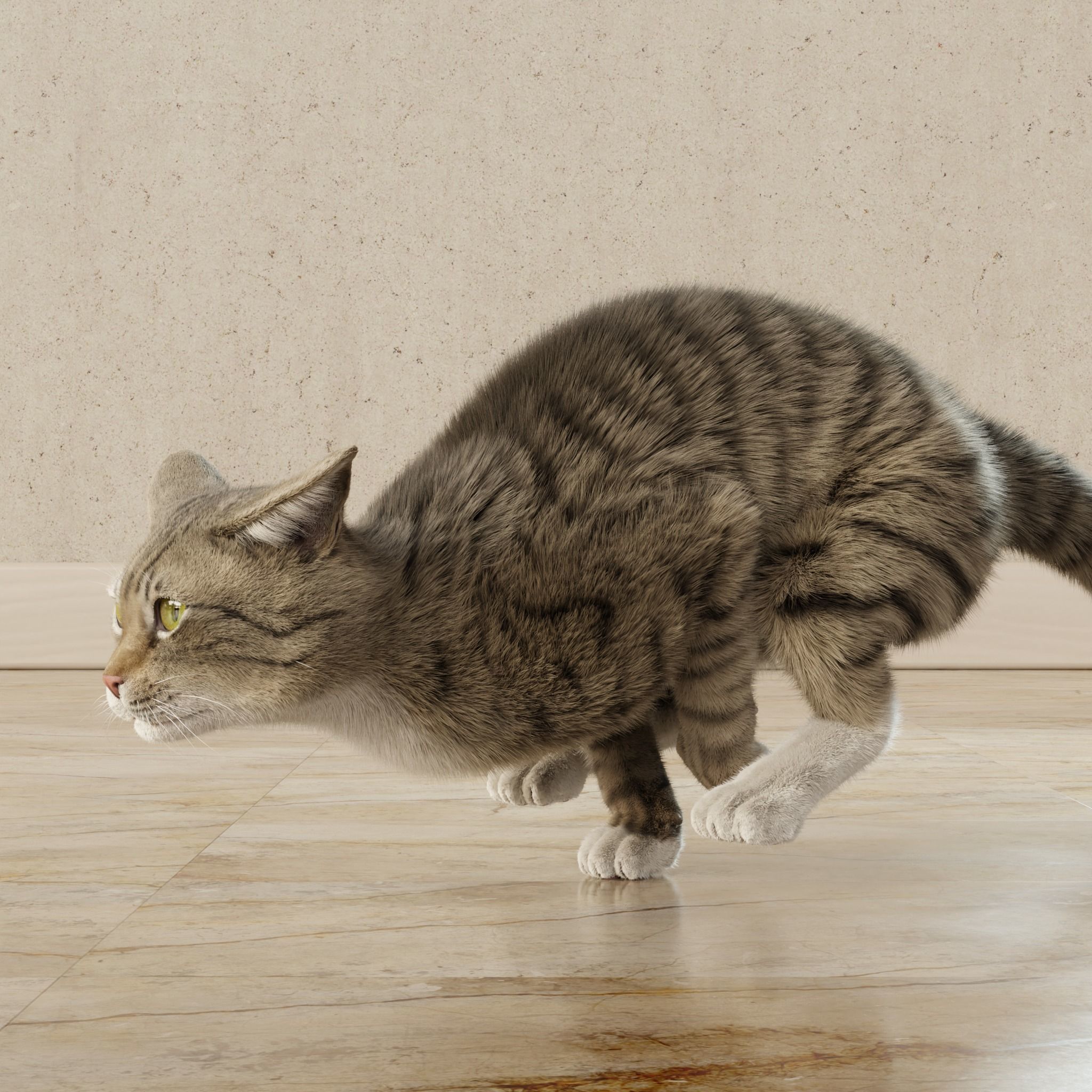 Cat Gray Tabby Rigged Animated 3D model_14