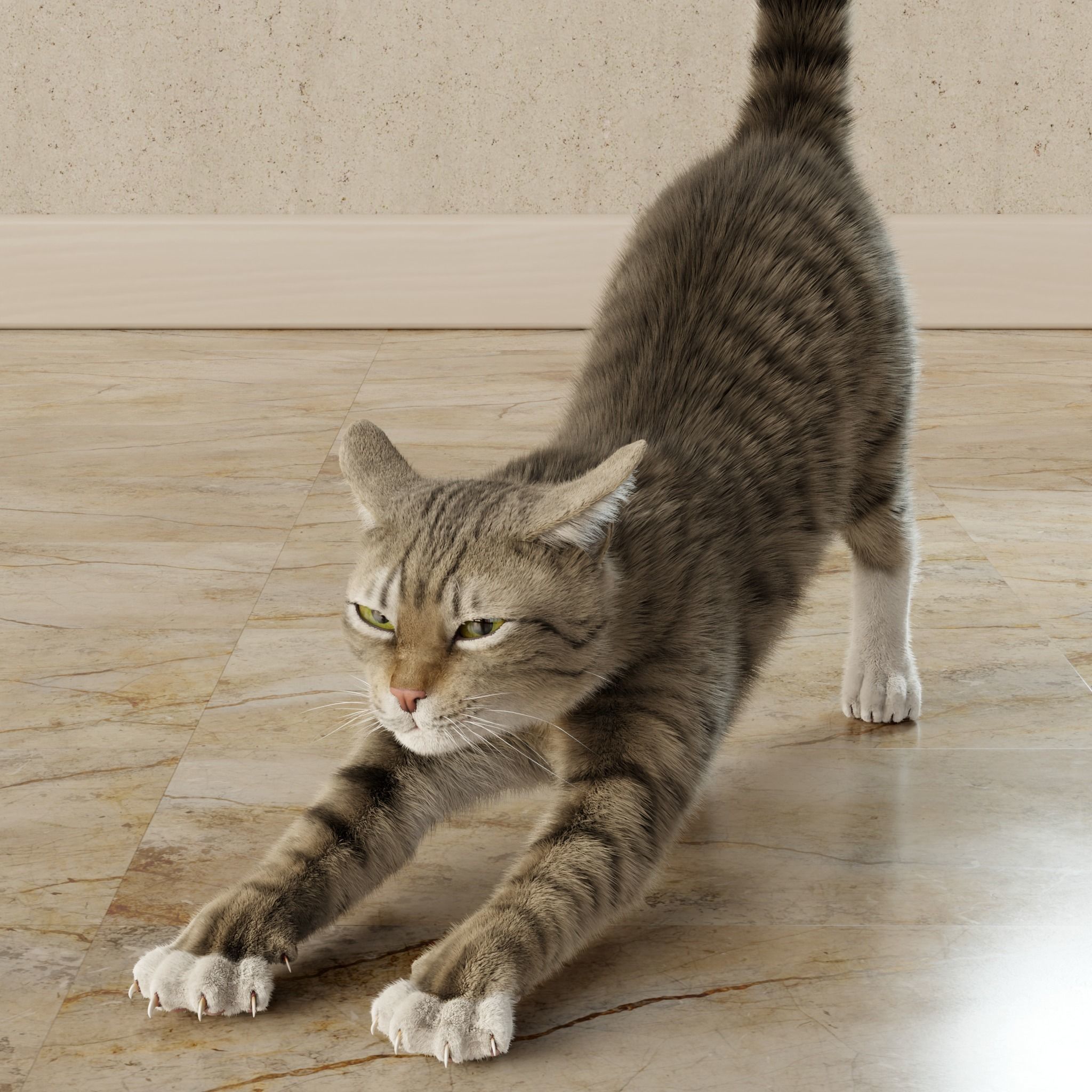 Cat Gray Tabby Rigged Animated 3D model_18