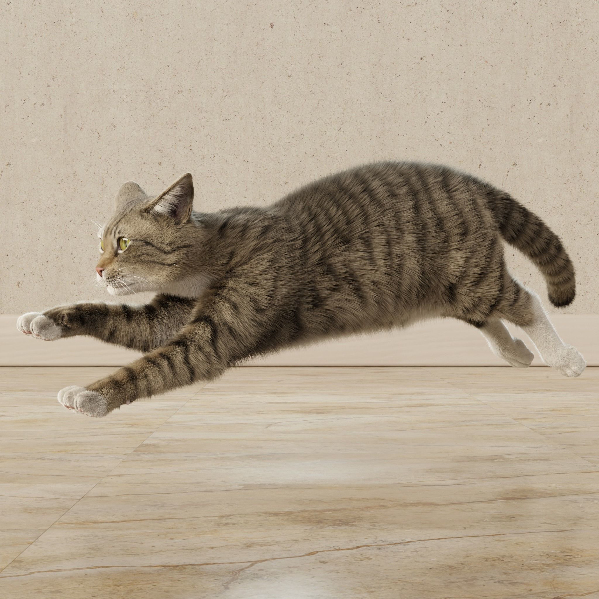 Cat Gray Tabby Rigged Animated 3D model_16