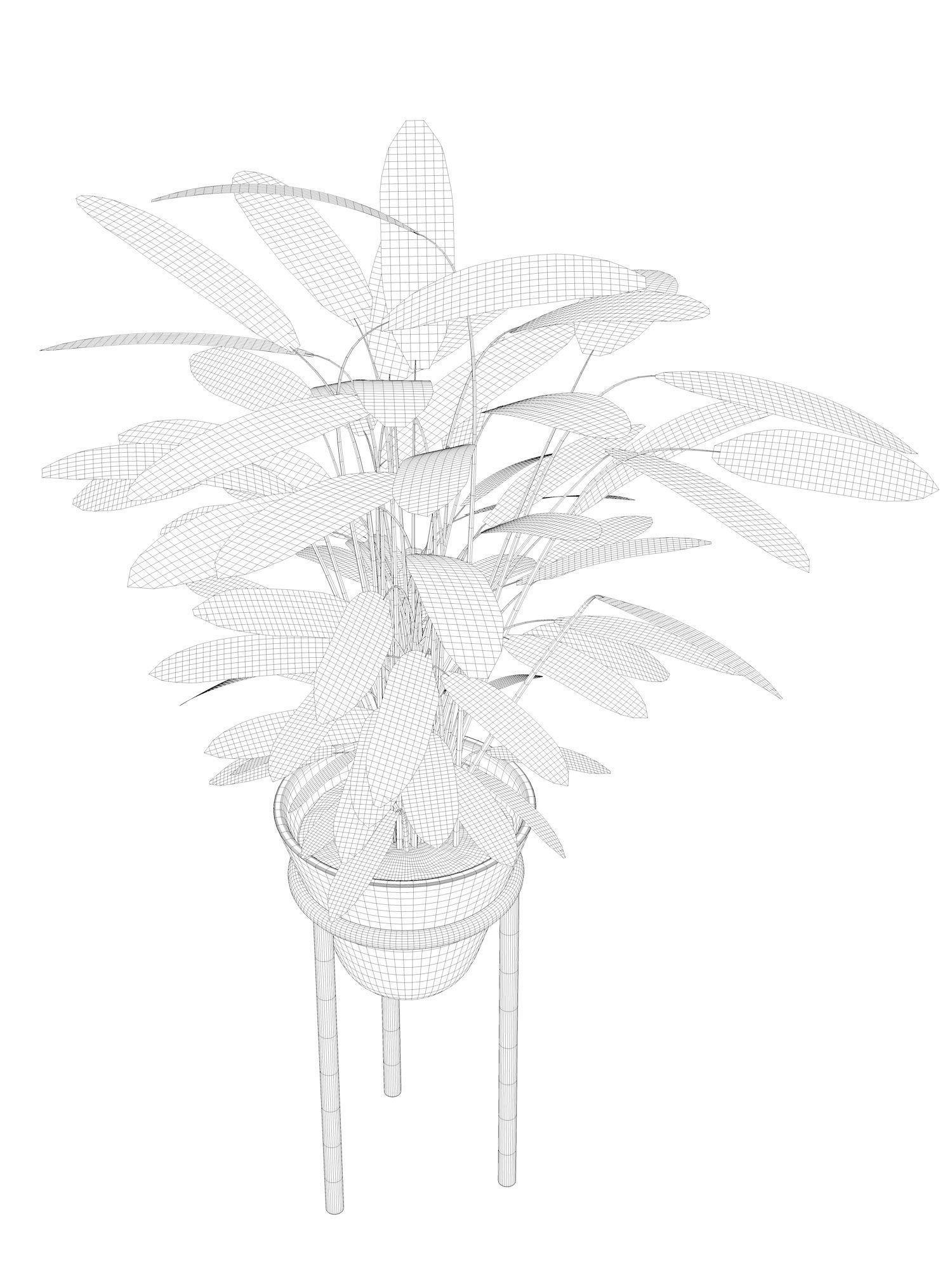 Vases with Plants 6 3D model_4