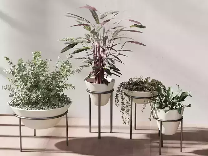 Vases with Plants 6 3D model