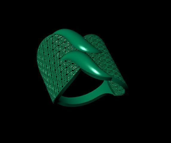 Rings 3D print model_2