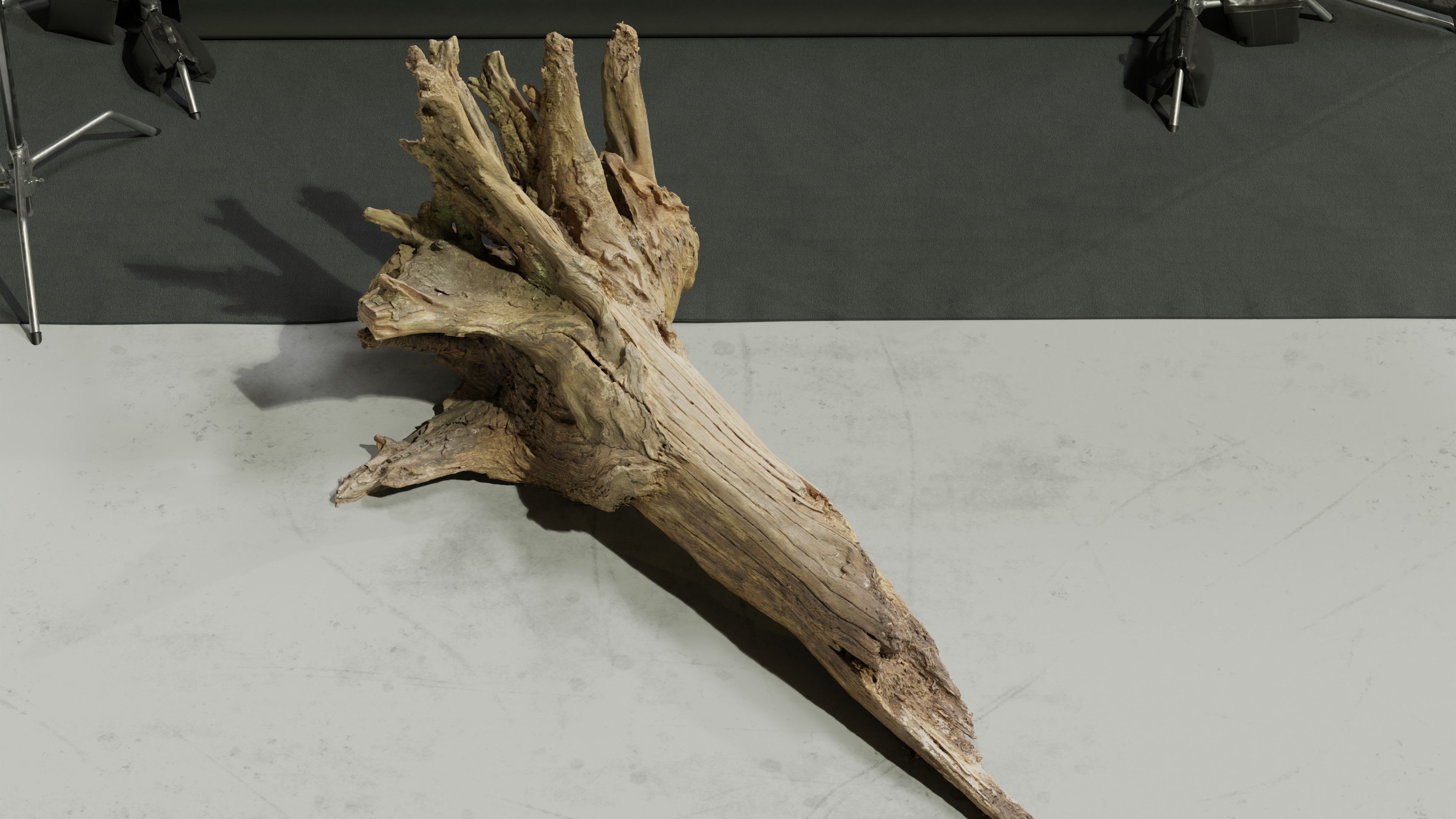 Photogrammetry Model of a Fallen Tree Stump  Low-poly 3D model_5