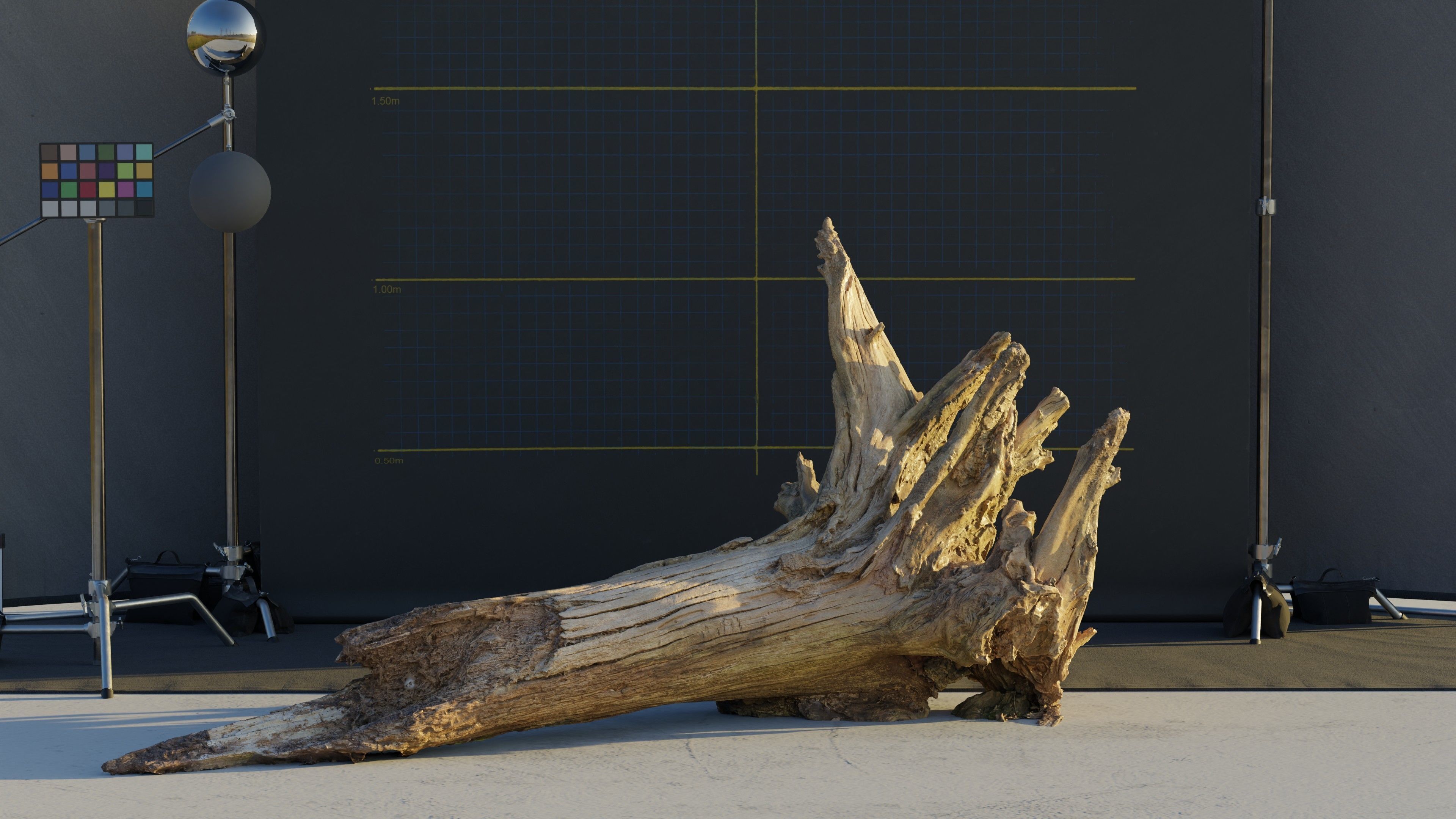 Photogrammetry Model of a Fallen Tree Stump  Low-poly 3D model_6