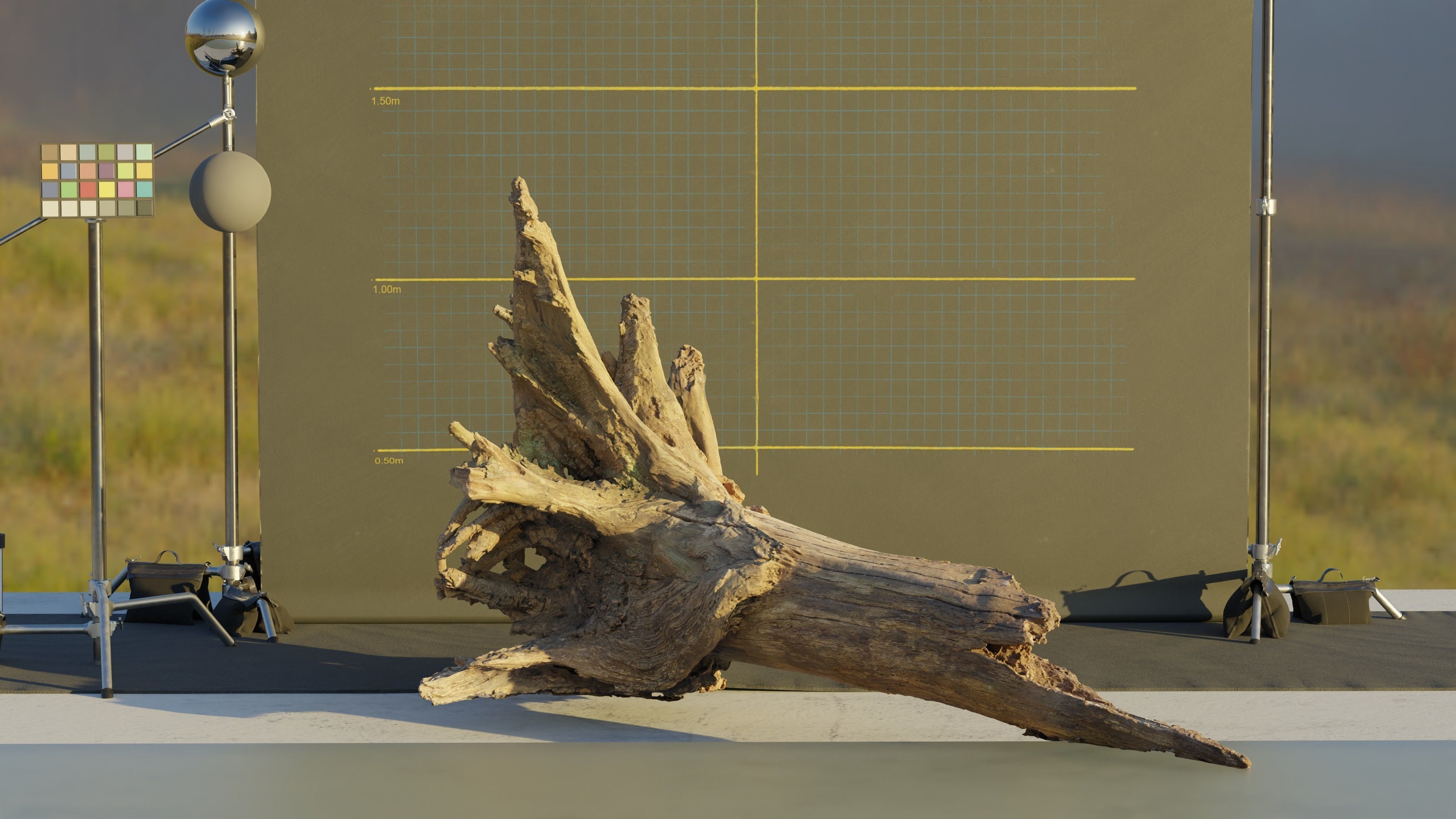 Photogrammetry Model of a Fallen Tree Stump  Low-poly 3D model_7
