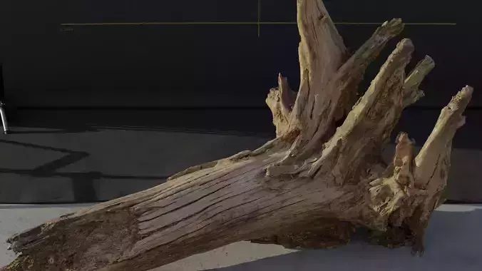 Photogrammetry Model of a Fallen Tree Stump 