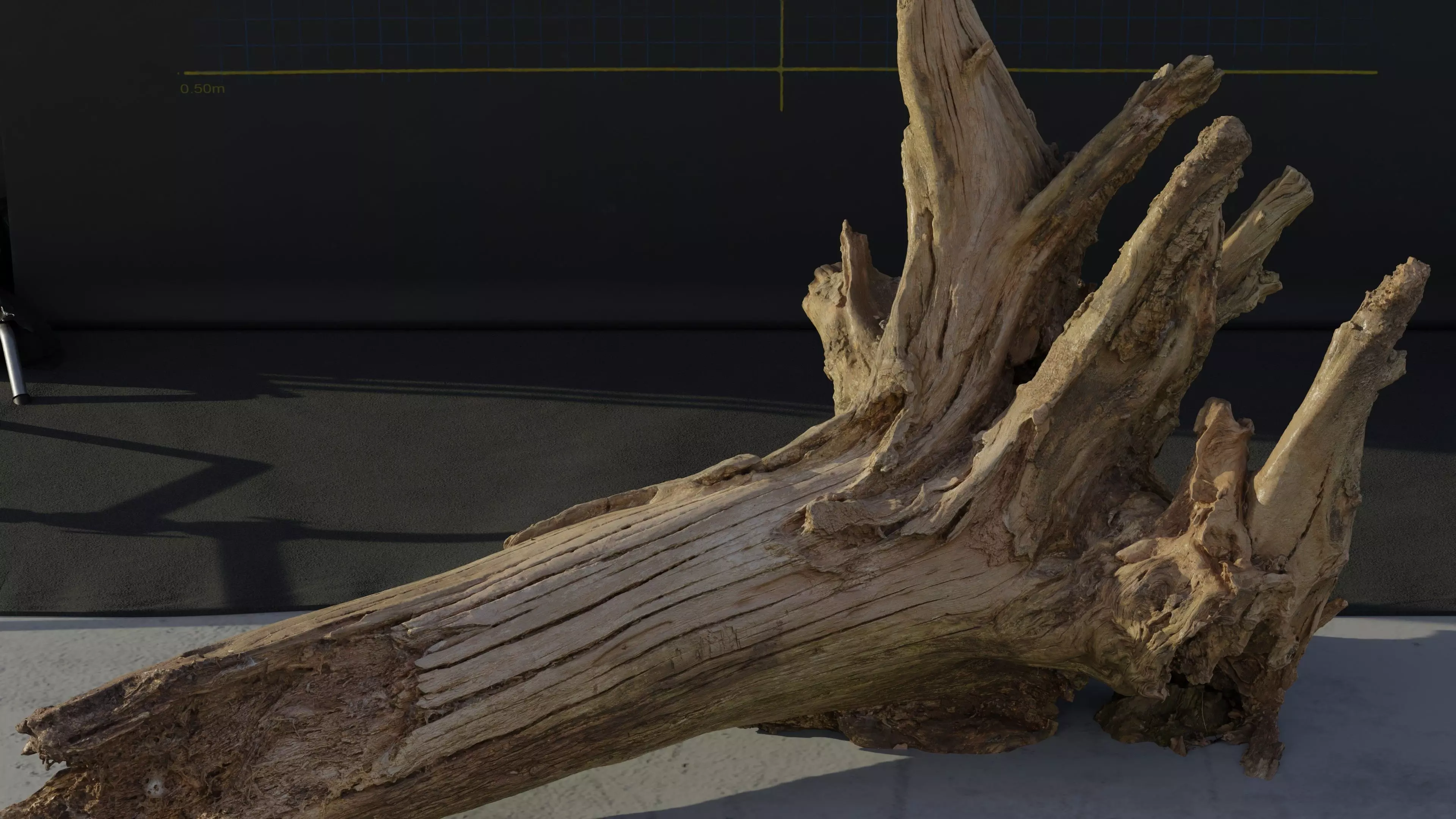 Photogrammetry Model of a Fallen Tree Stump  Low-poly 3D model_0