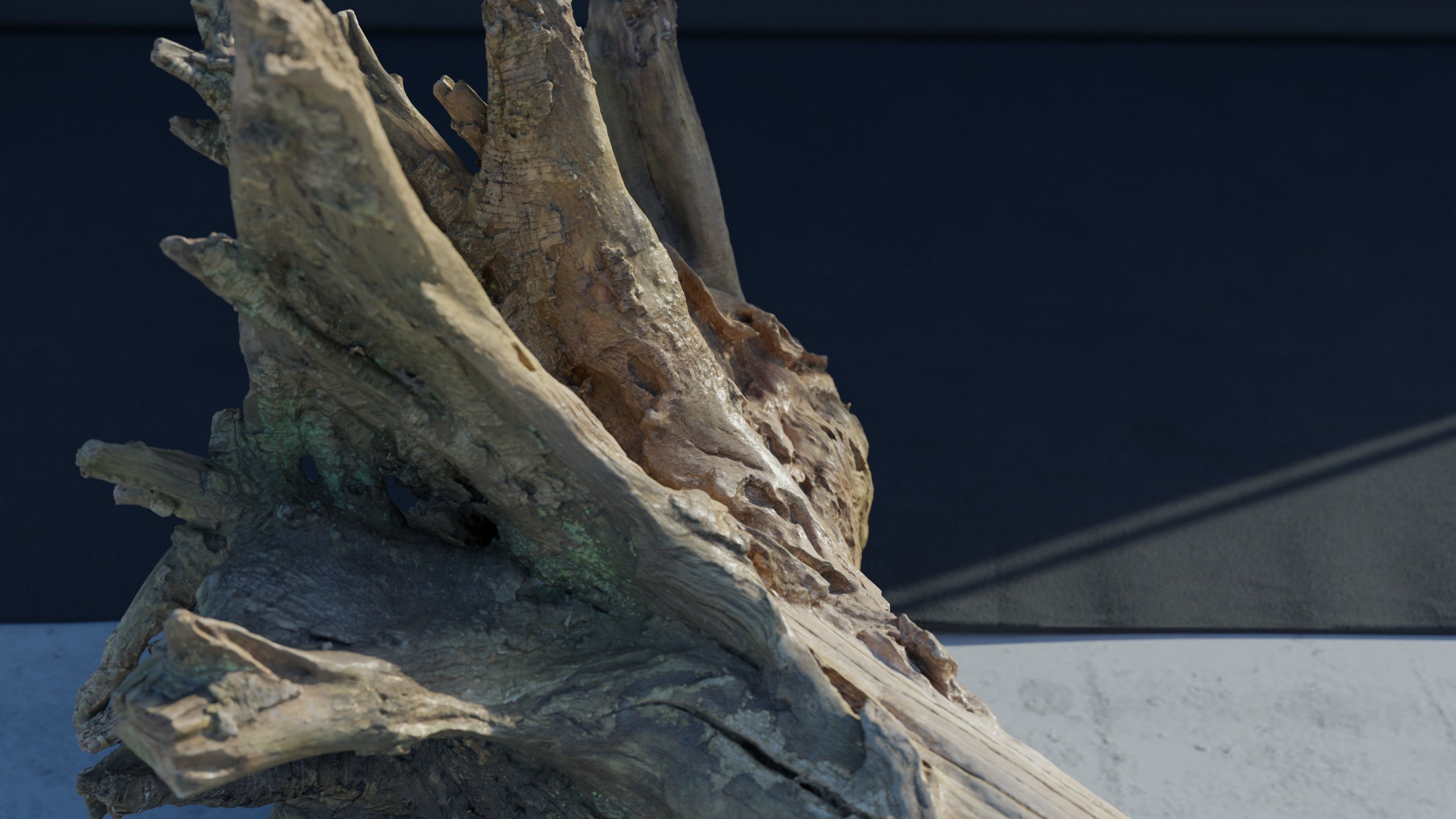 Photogrammetry Model of a Fallen Tree Stump  Low-poly 3D model_4