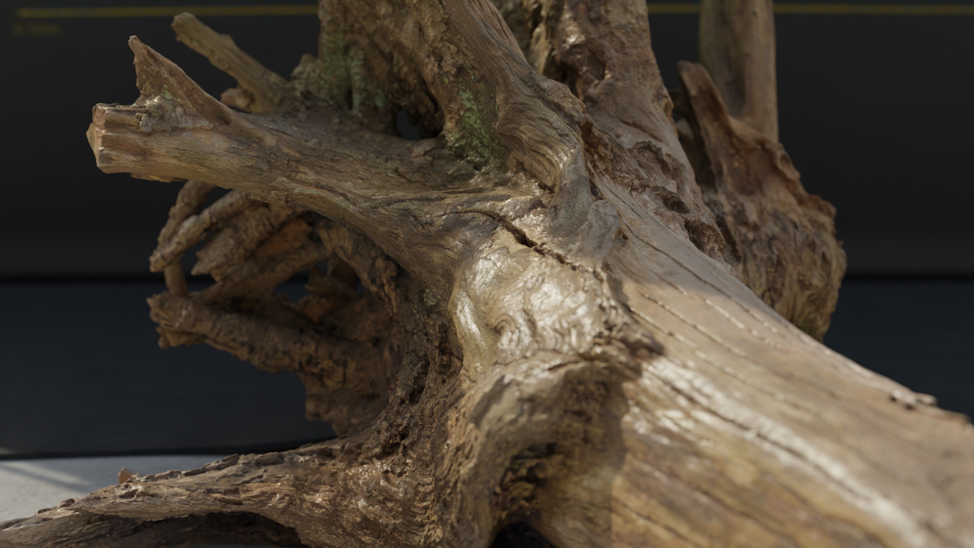 Photogrammetry Model of a Fallen Tree Stump  Low-poly 3D model_3