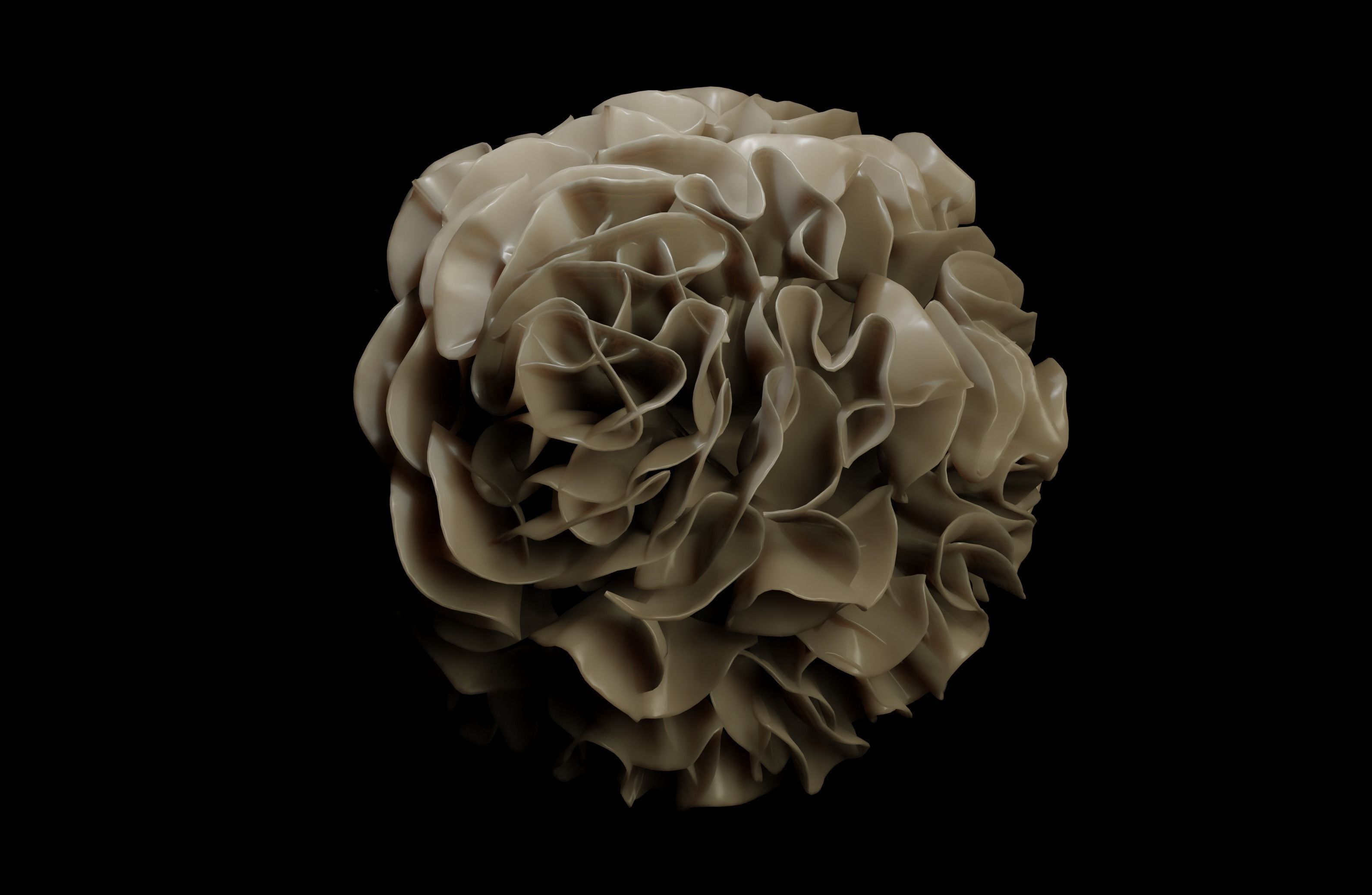 Dendridic Cell 3D model_1