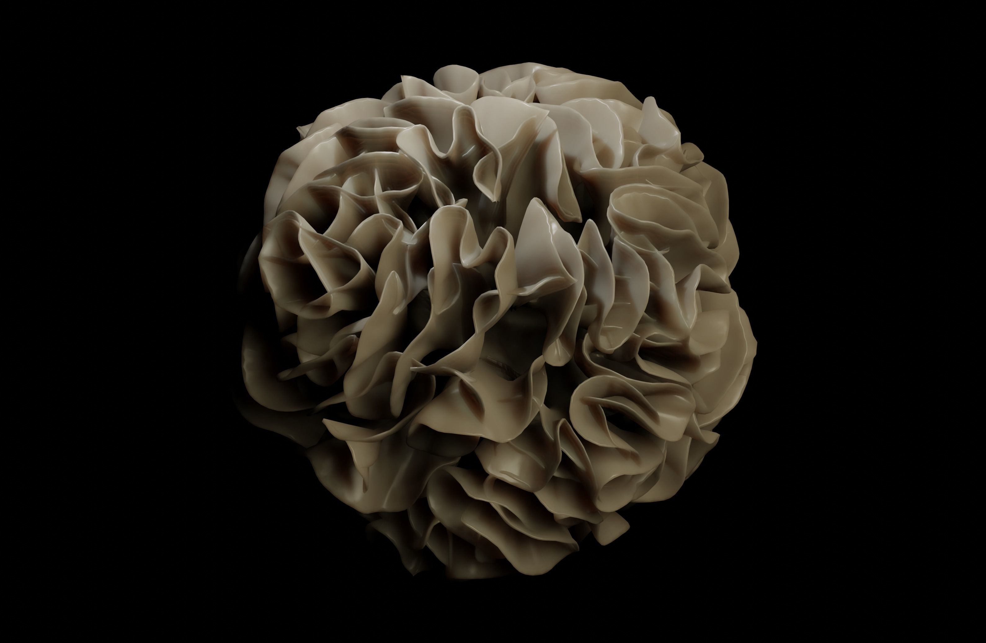 Dendridic Cell 3D model_11