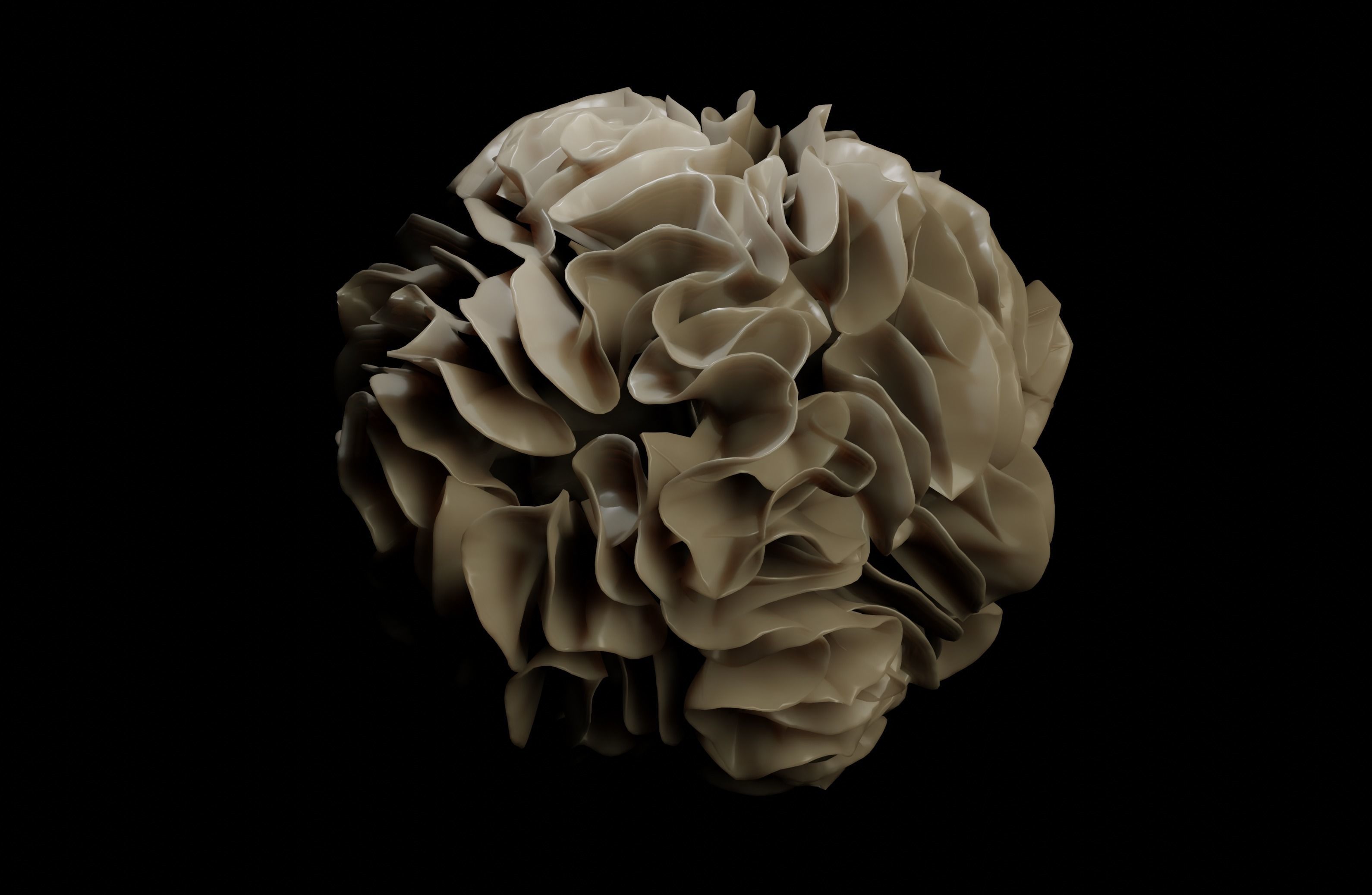 Dendridic Cell 3D model_4